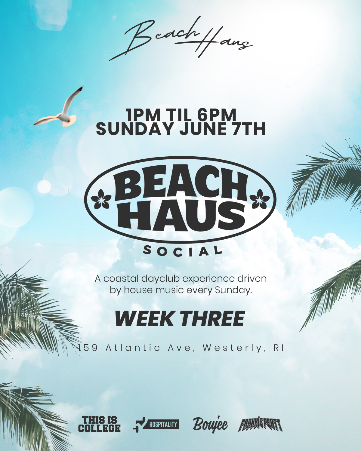 Beach Haus Social: Week 3