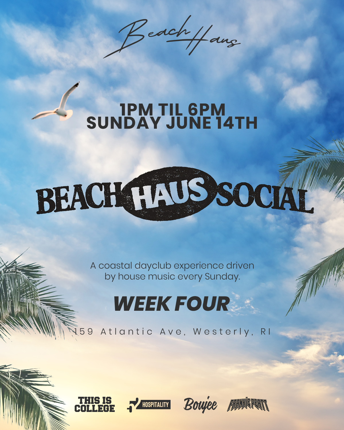 Beach Haus Social: Week 4