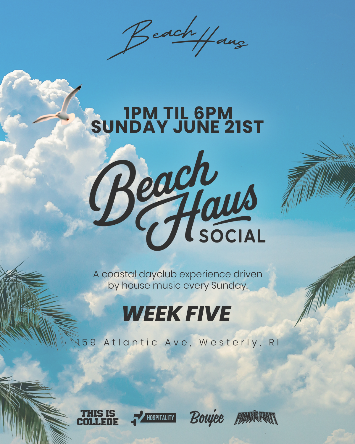 Beach Haus Socials: Week 5