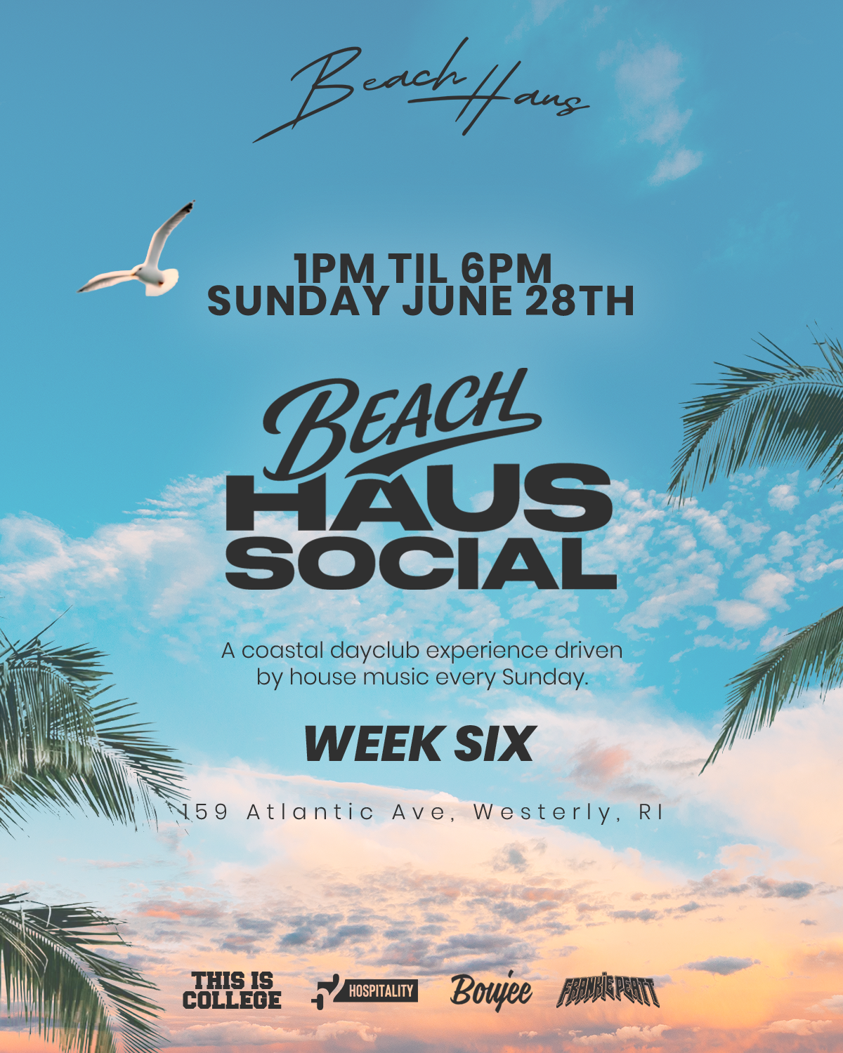 Beach Haus Social: Week 6