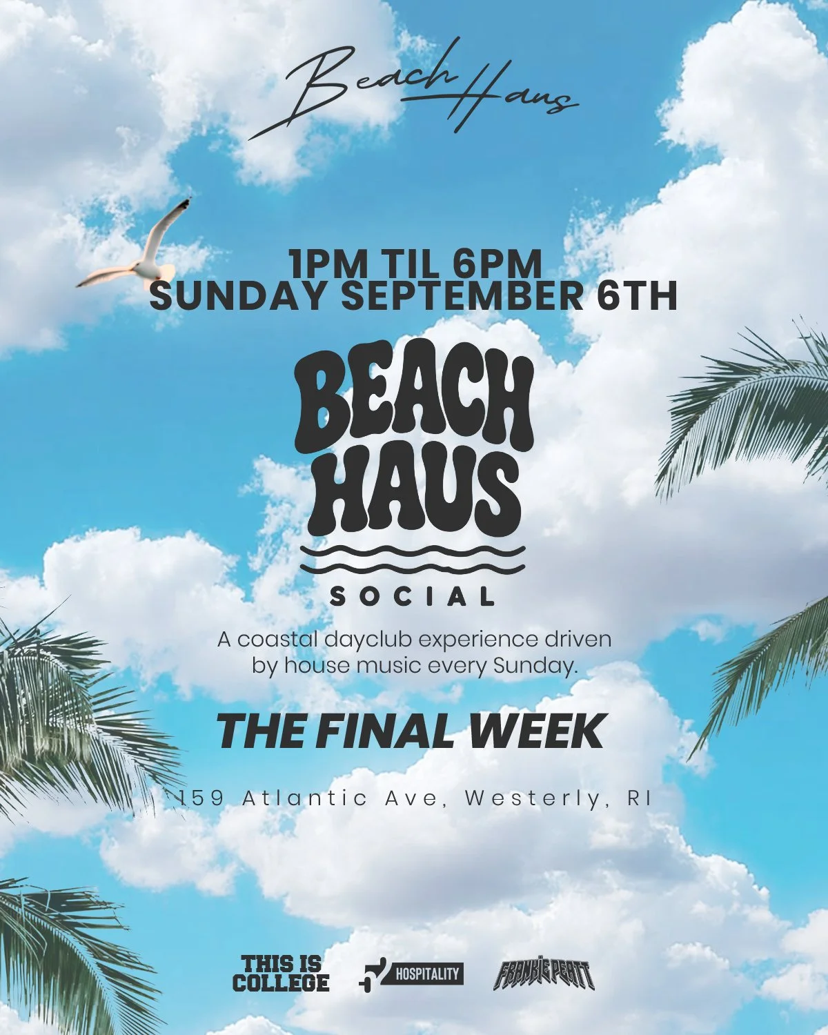 Beach Haus Social Sundays: Final Week