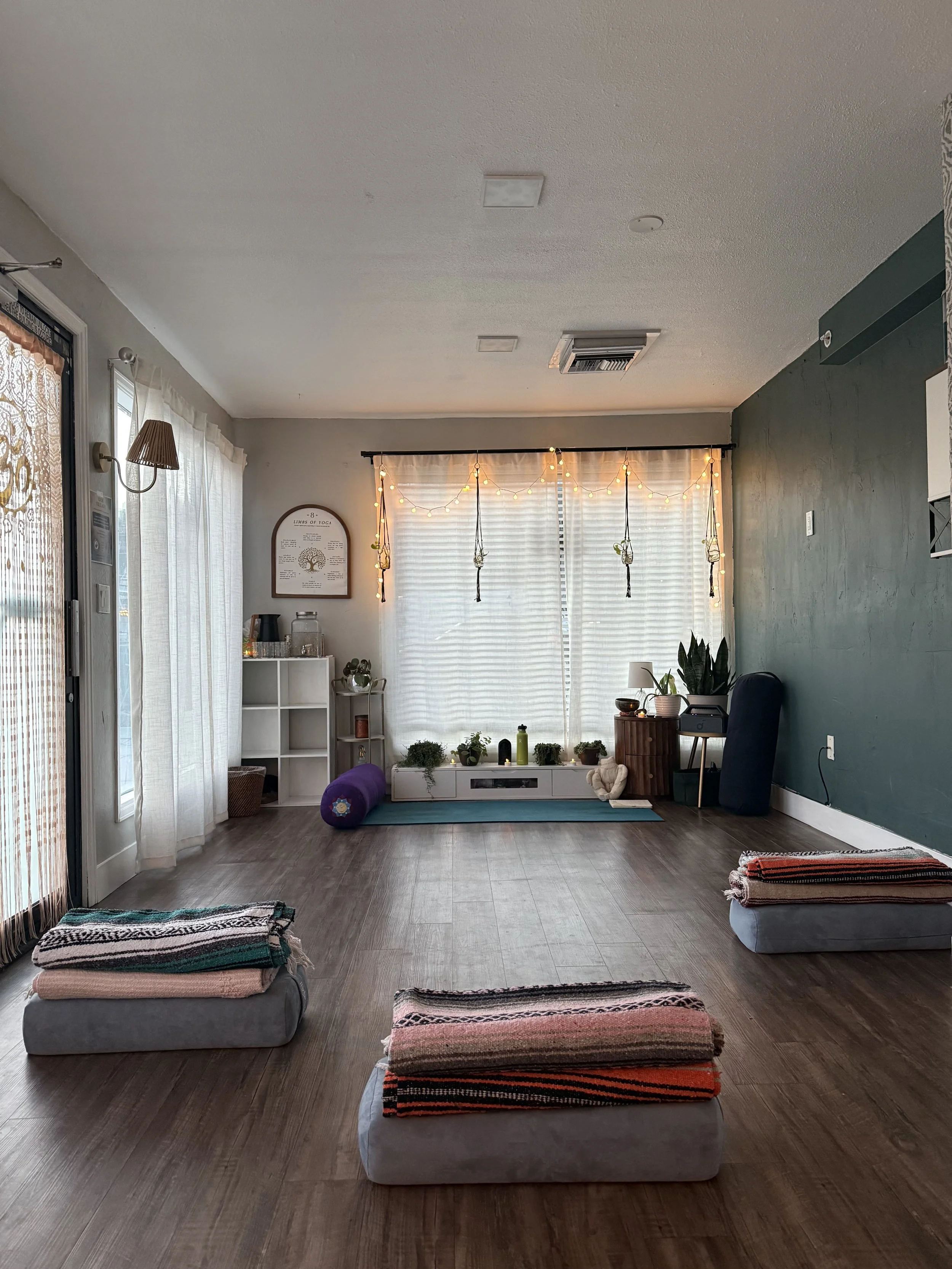 Prenatal Yoga Series