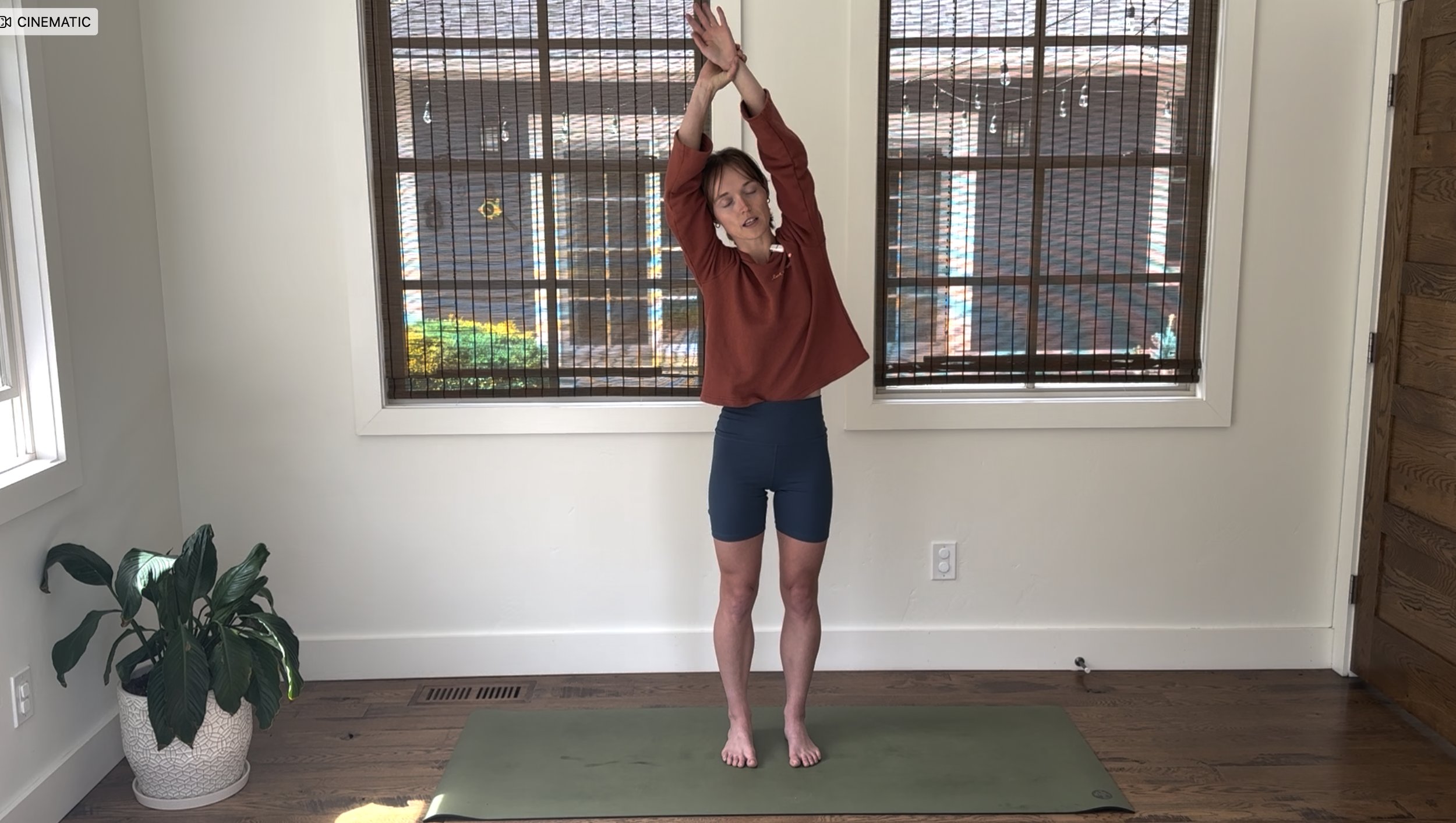 Embodied Birth Prep: Virtual 4-Week Prenatal Yoga Series