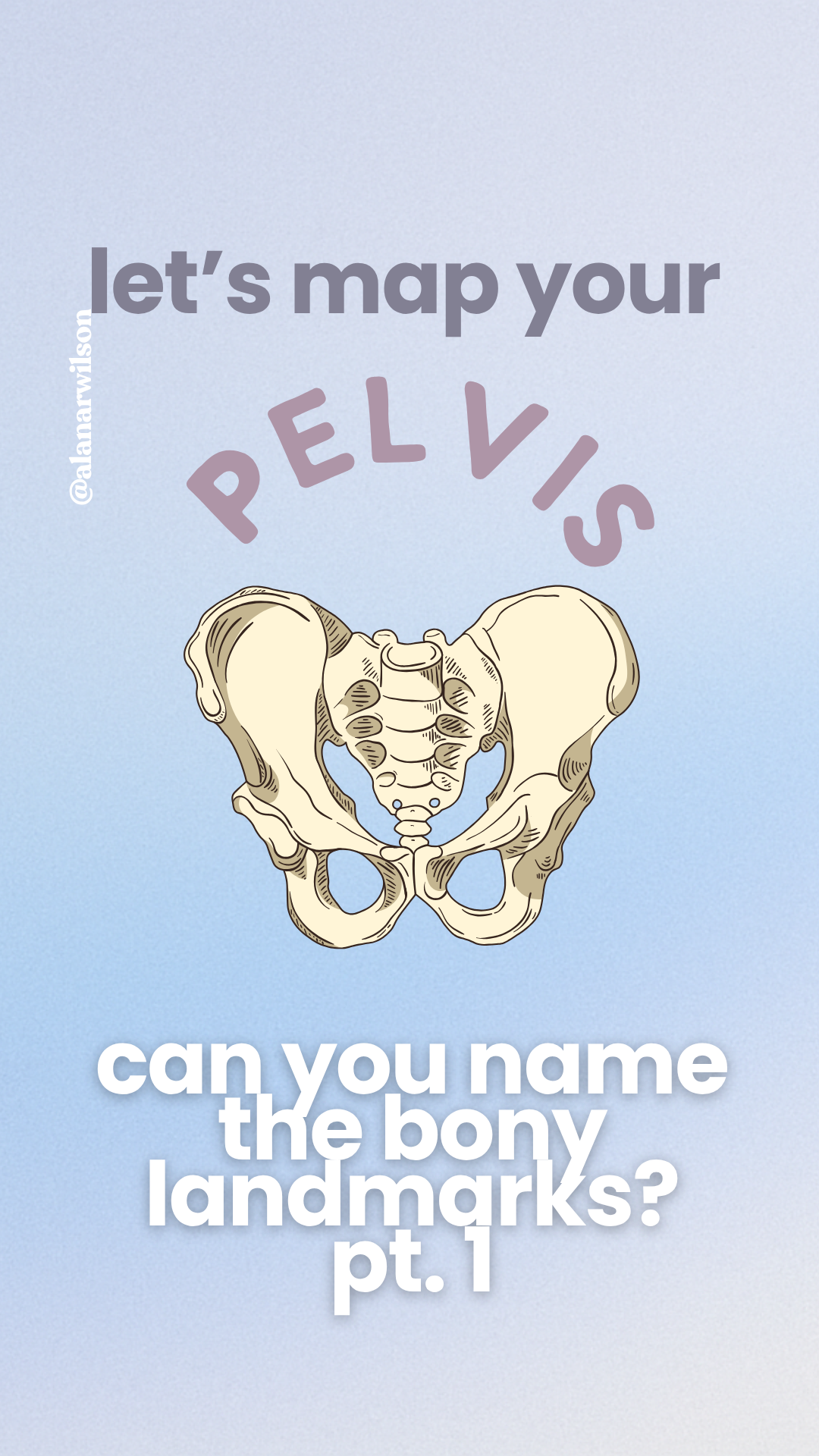 pelvis-health-durango-prenatal-postnatal-yoga