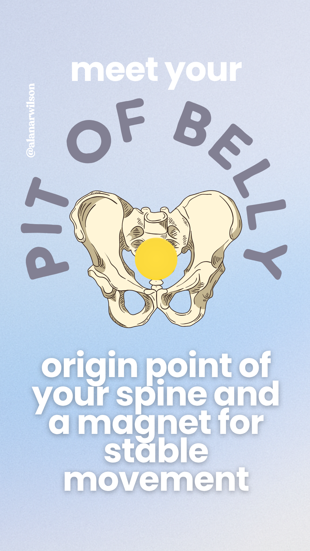 core-health-pelvis-core-health-prenatal-postnatal-yoga-durango