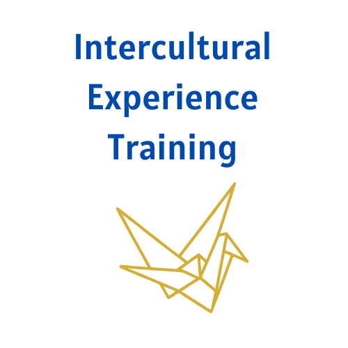 Intercultural experience training.png