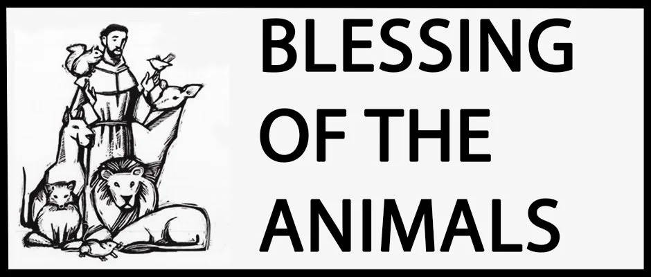 Annual Blessing of the Animals