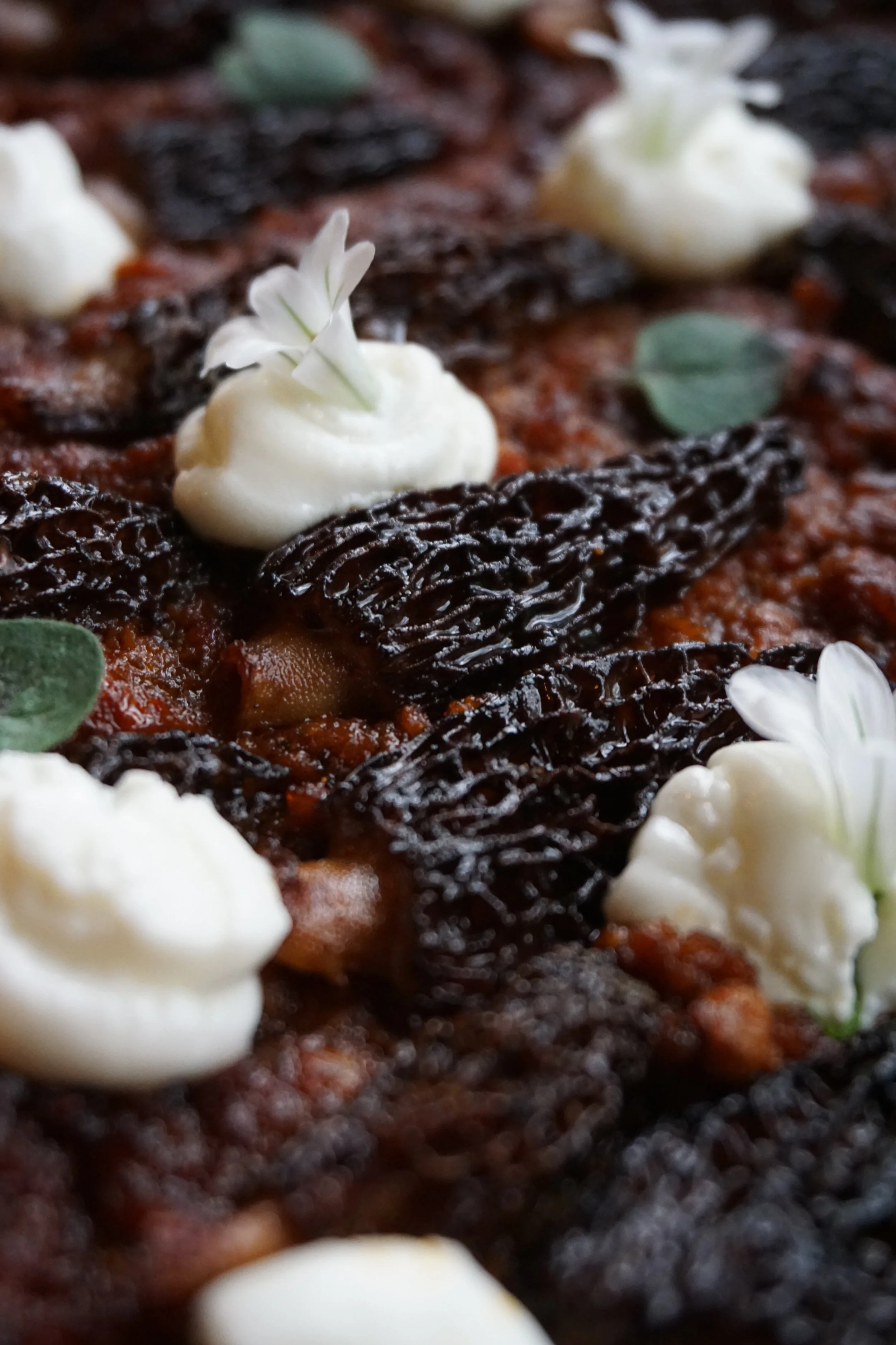 Close-up of a baked dish with dark, crispy elements, dollops of cream, and small green herb leaves as garnish.
