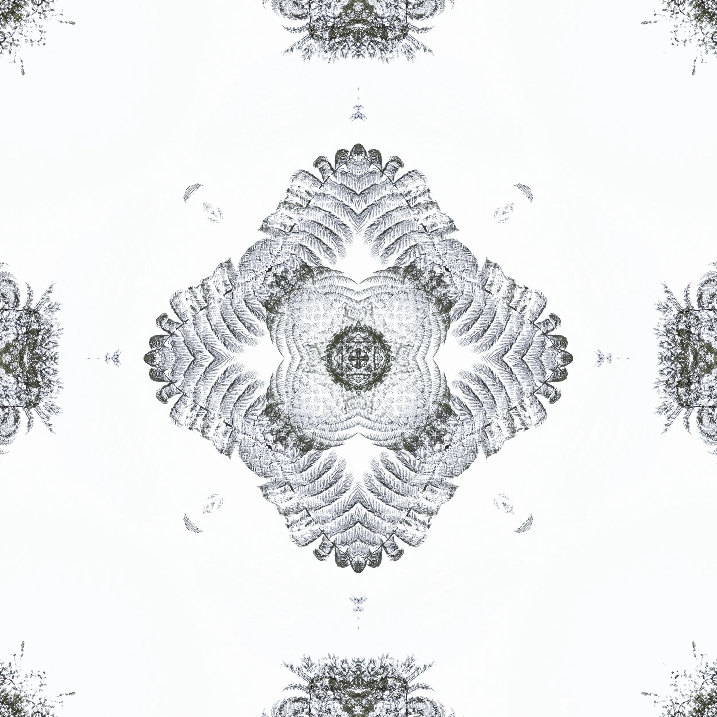Tile_3199-Edit_Ponga_fl 1.jpg