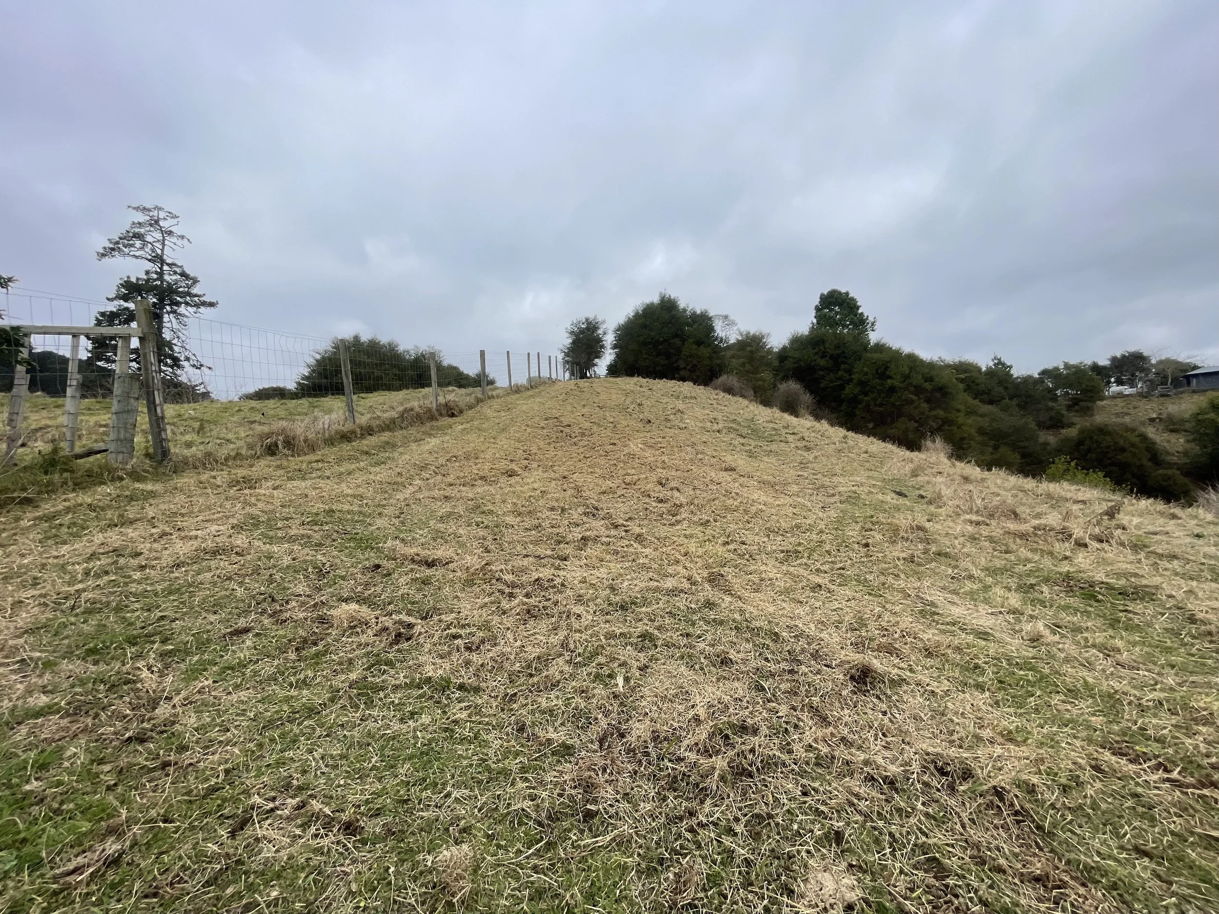 Xtreme Mowed Paddock