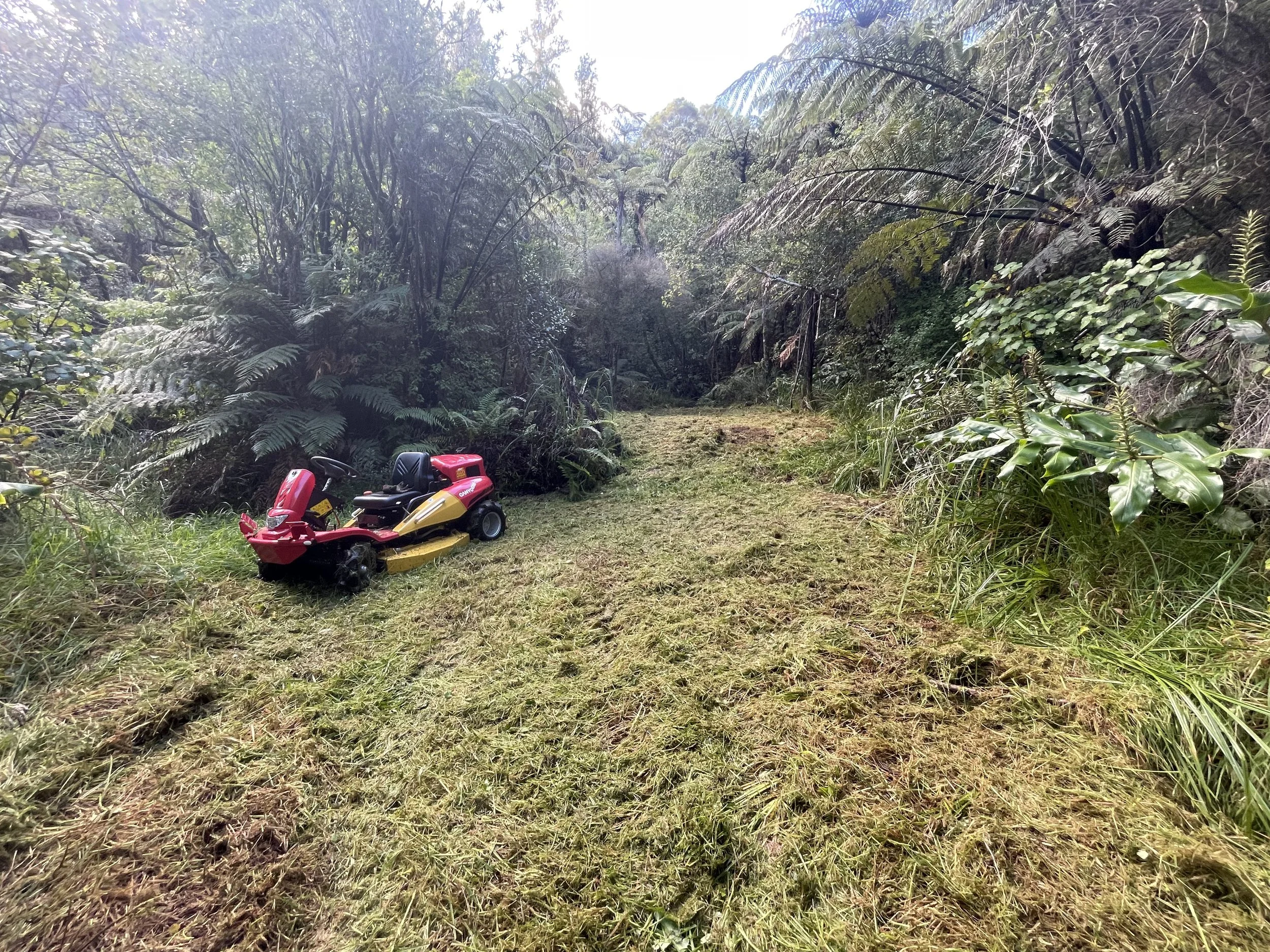 Xtreme Mowed Walking Track