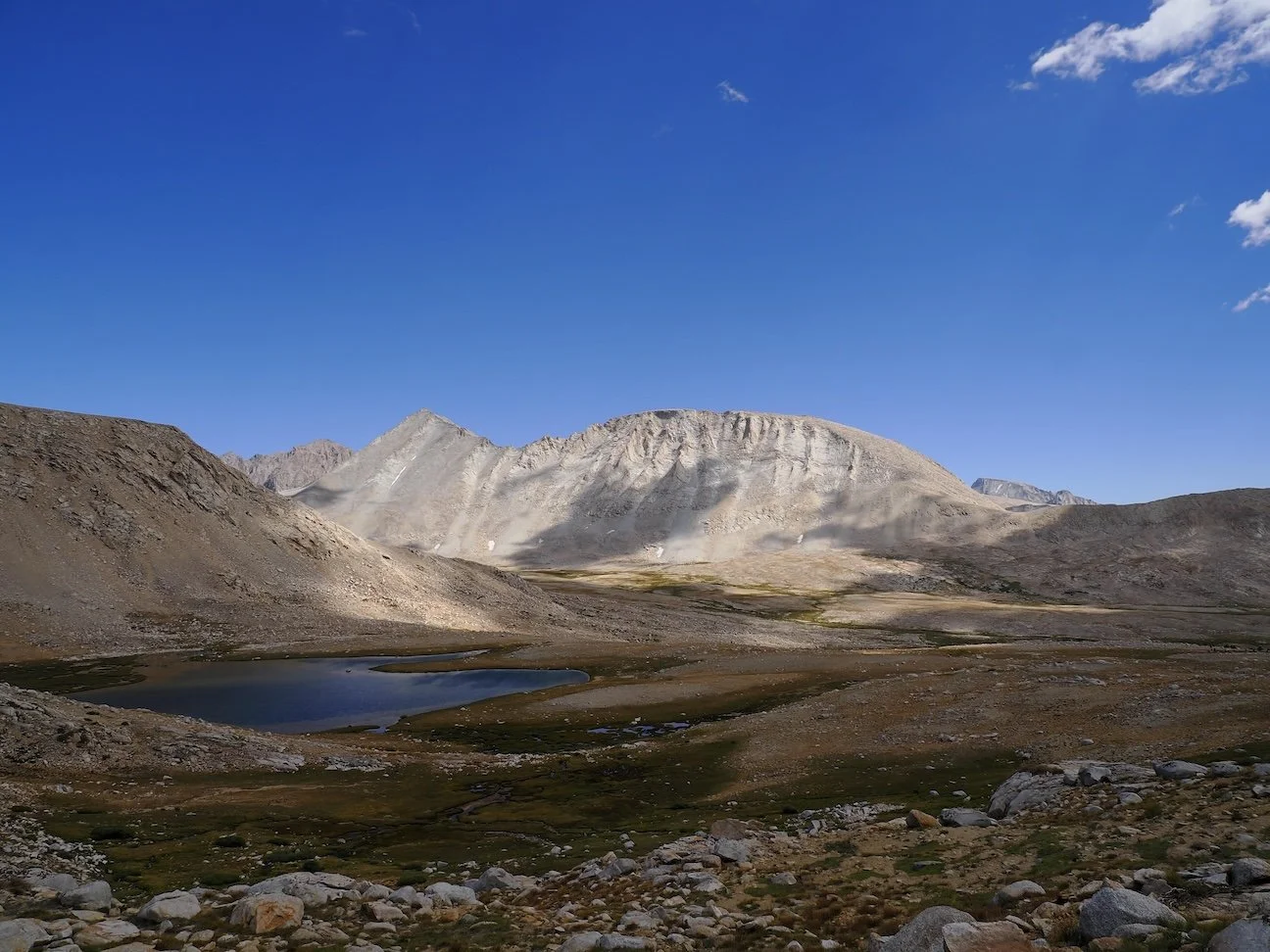 Wayne Roderick Lecture: Botanizing Mt. Williamson and Environs