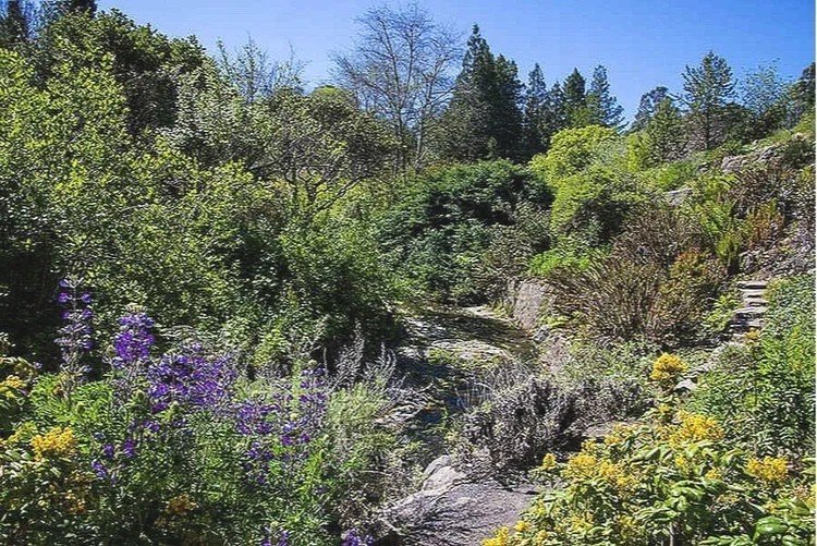 EBMUD Public Garden Open House