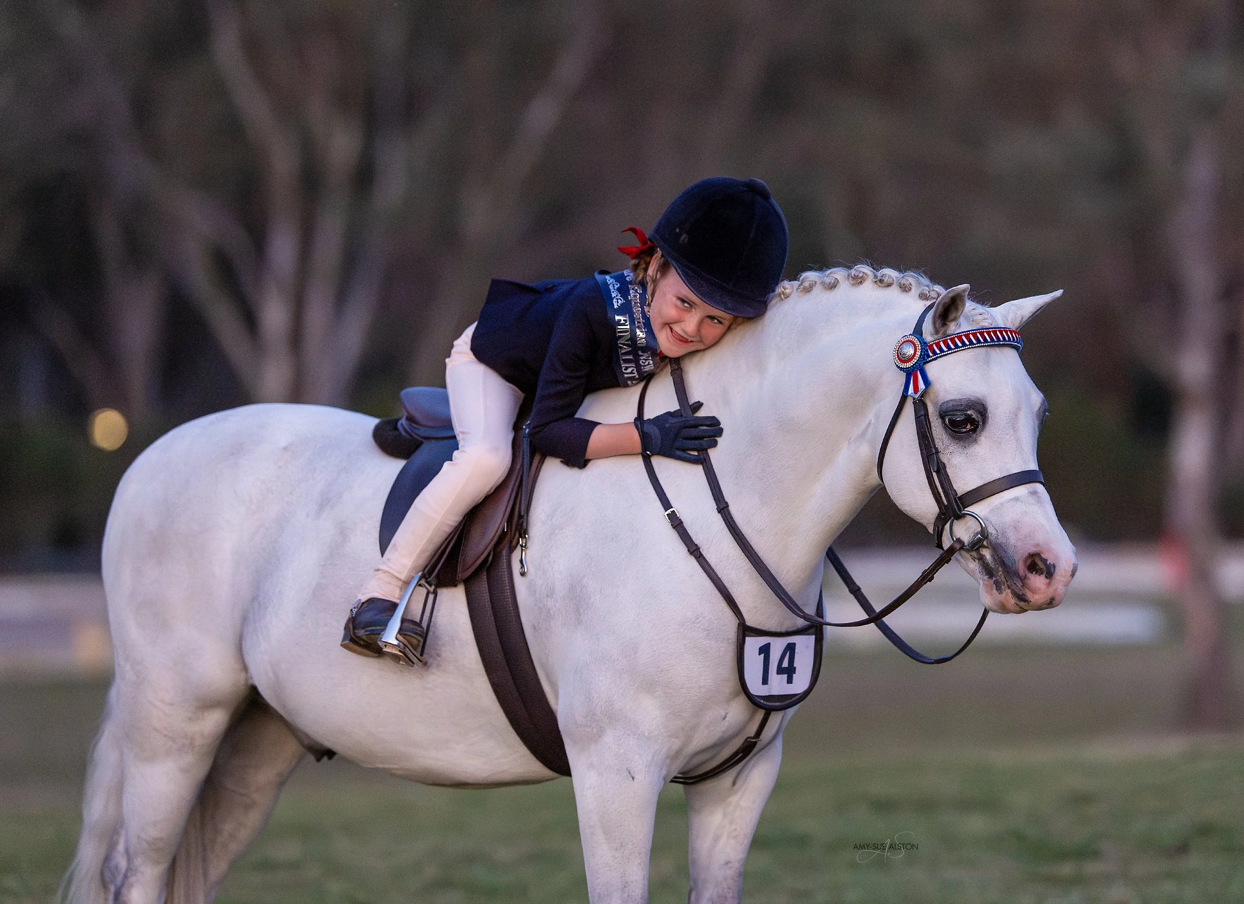 Single Crystal Satin Bows