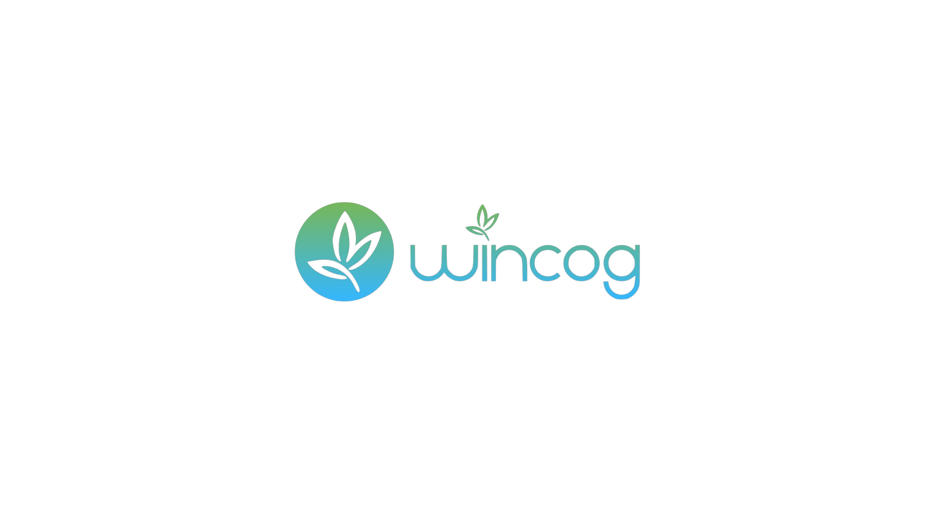 wincog.png