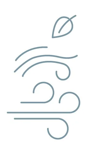 graphic image of wind blowing a leaf