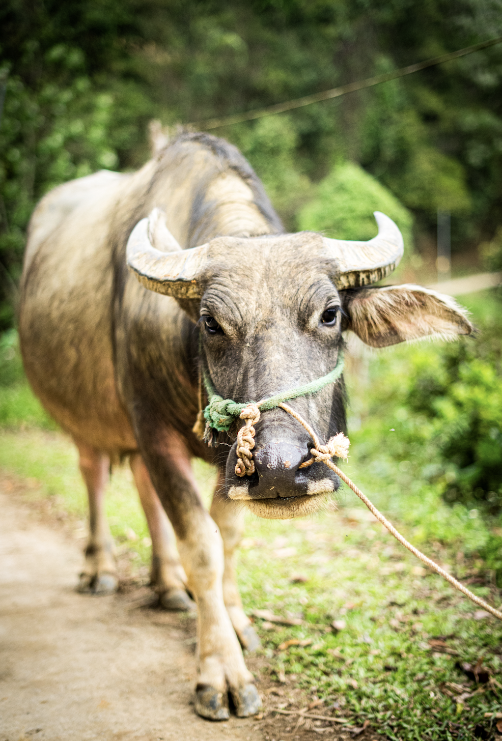 Screenshot 2025-04-30 at 12.26.31 PM.png