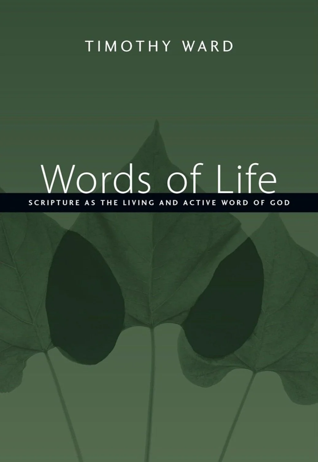 Screenshot 2024-07-27 at 12.23.37.jpg