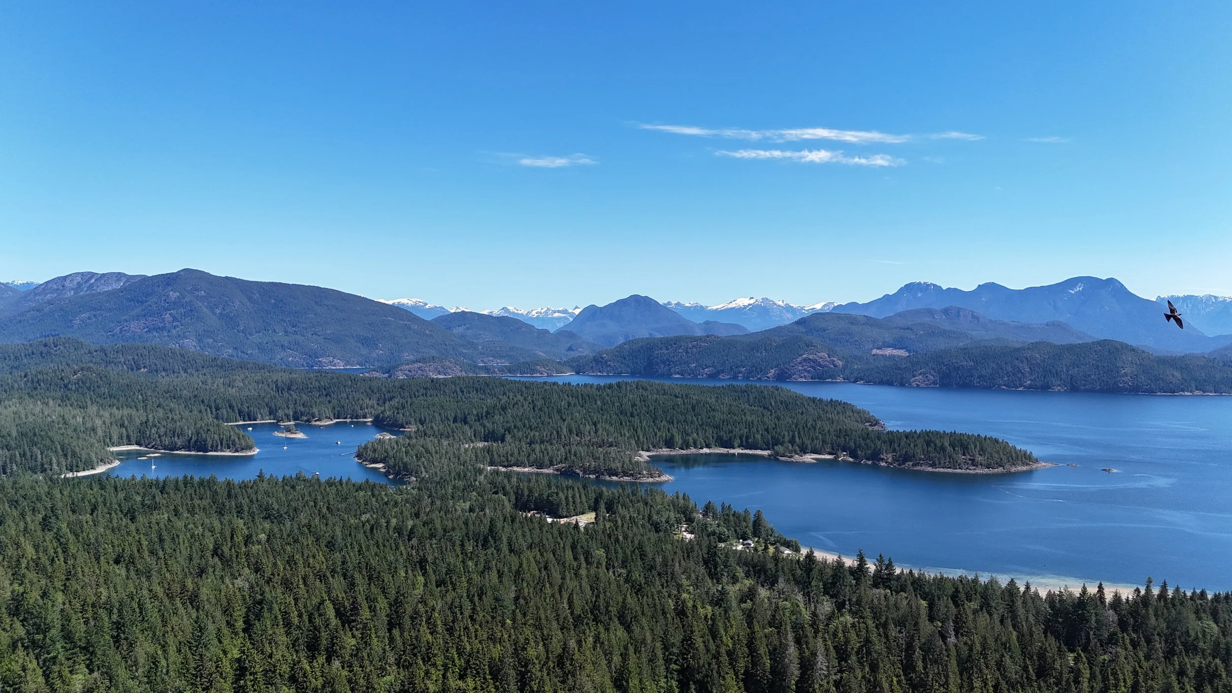 View of a large body of water surrounded by lush green forests and mountains in the distance, with a clear blue sky overhead.
