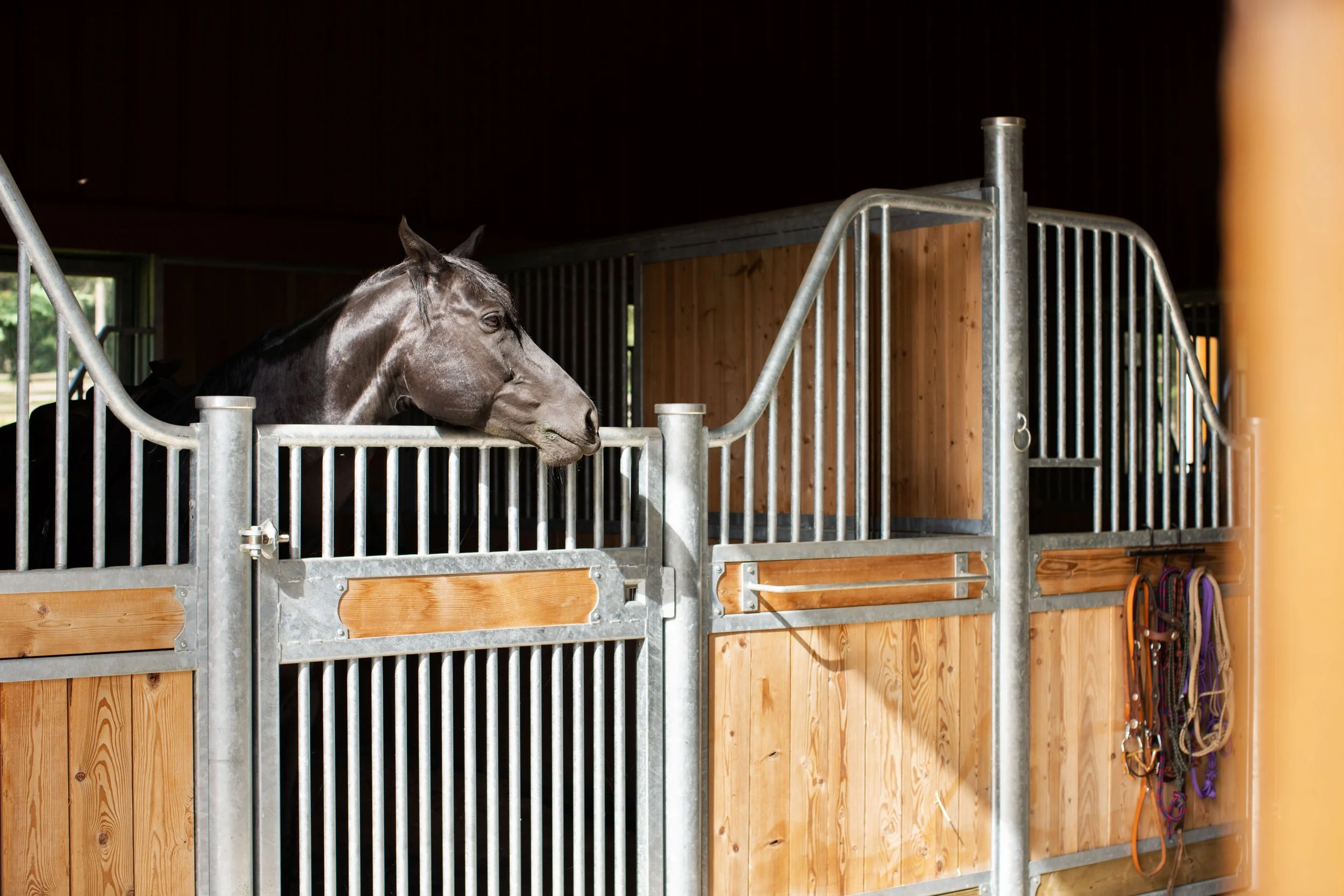 EQ.Barn.SUM.- 9500HiRes.jpeg