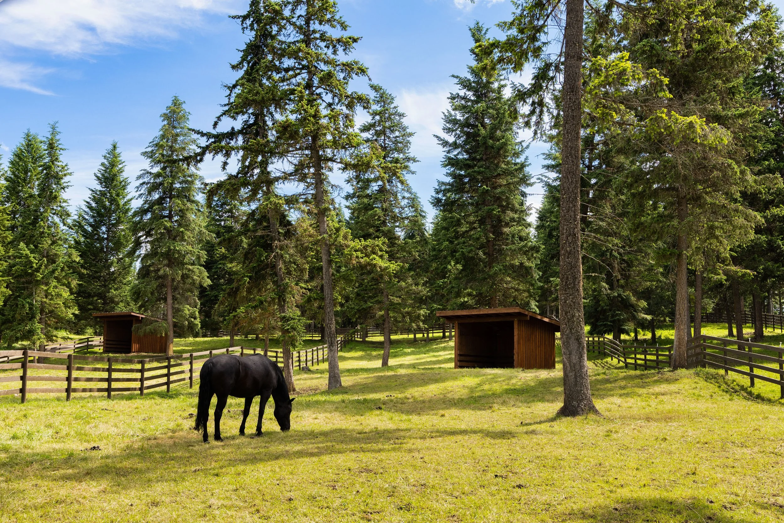 EQ.Paddocks.SUM.- 9663HiRes.jpeg