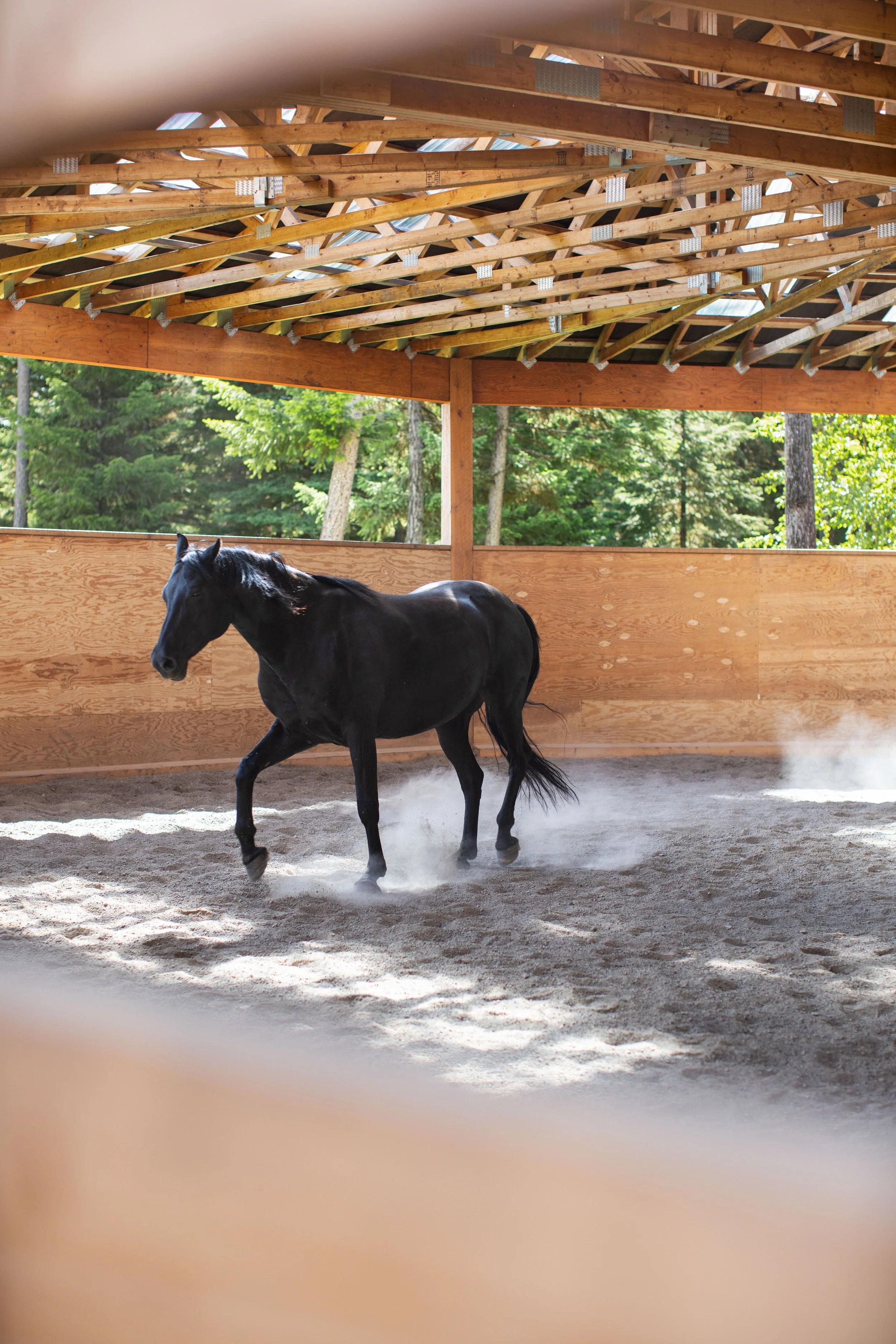 EQ.RdPen- 9545HiRes.jpeg