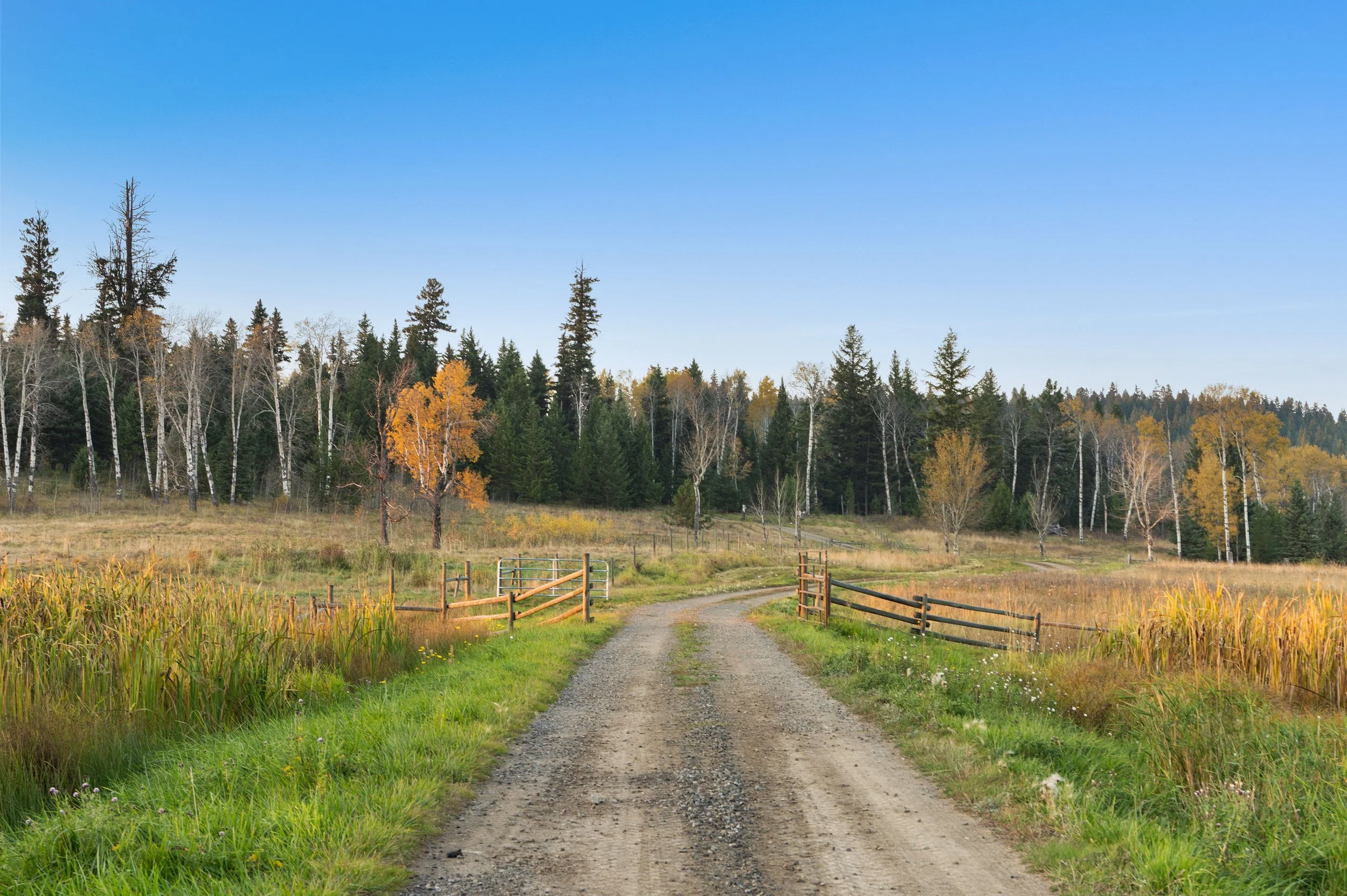 FALL_all_pix_a7r4 -0163.jpeg