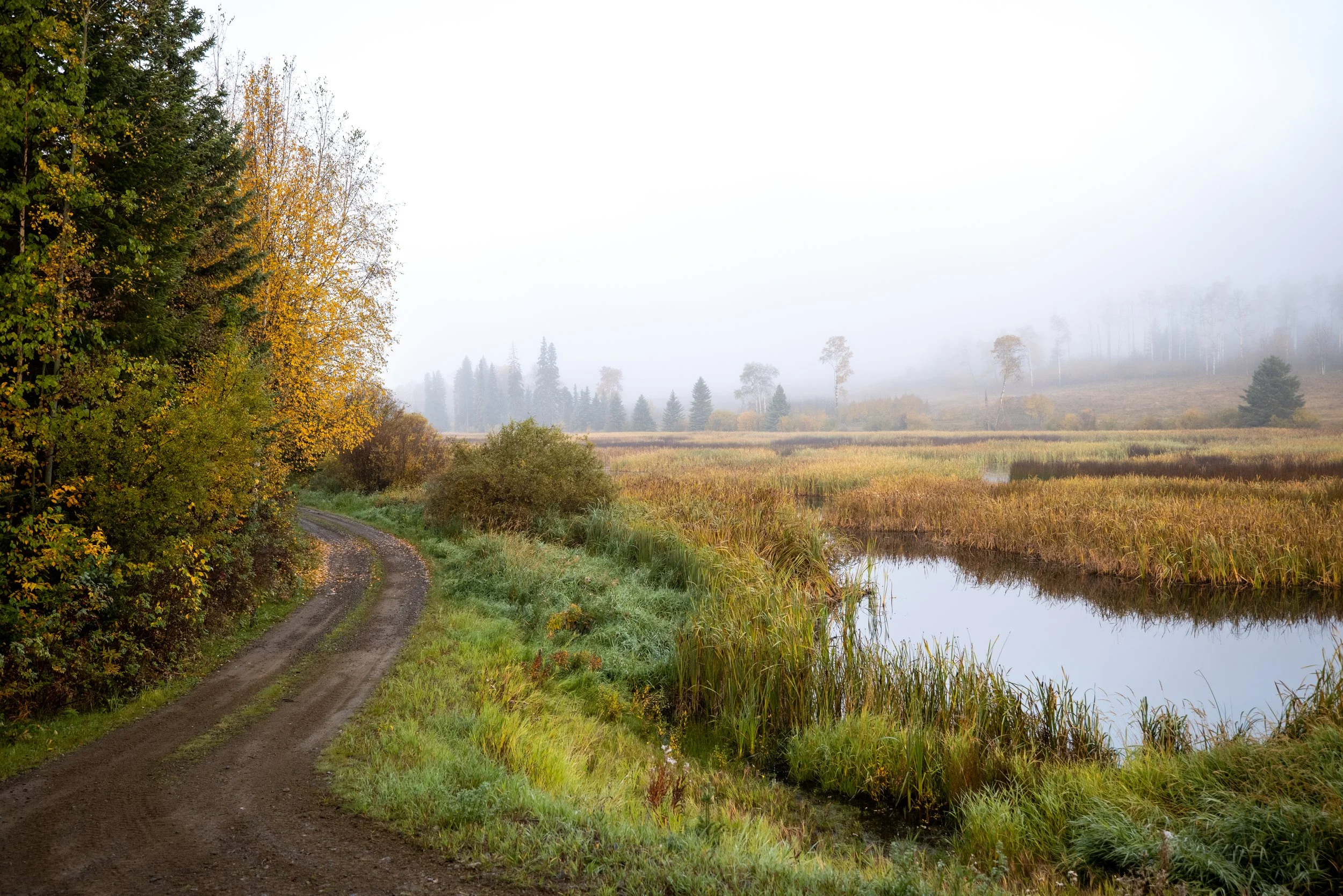 Road along Straight Lake to Main House