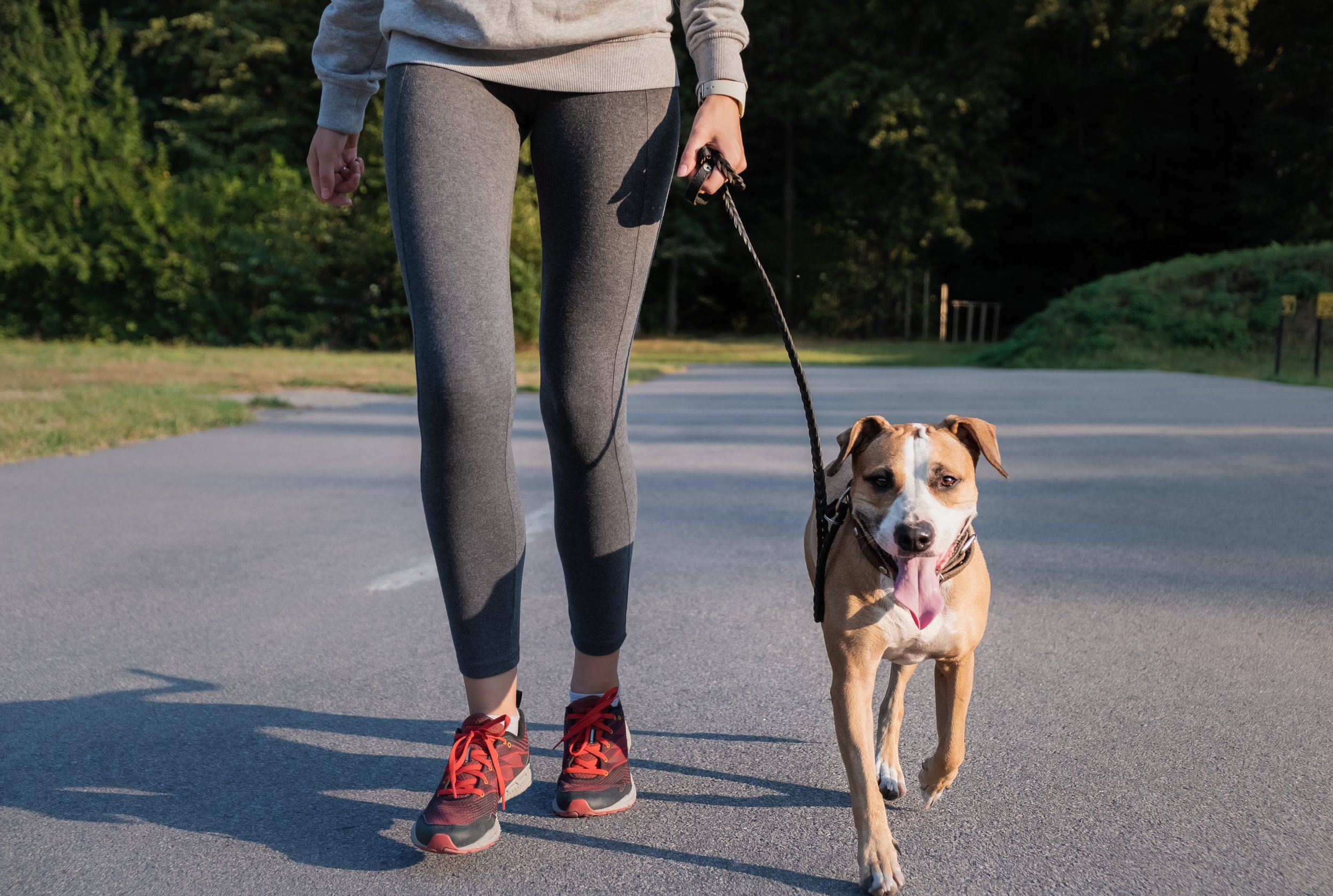 Woman in a running suit, loose-leash training with her dog.