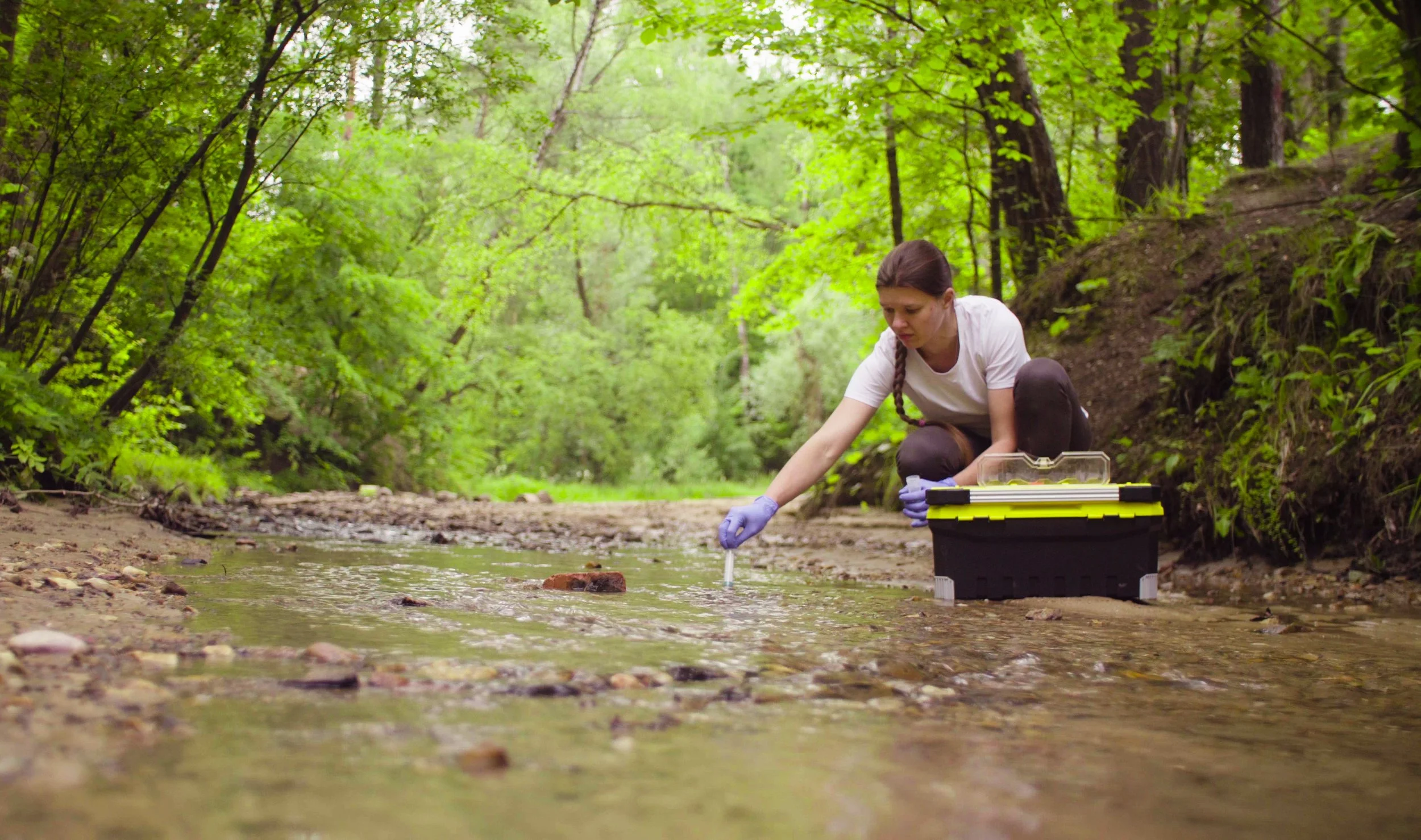 Woman ecologist taking samples of water from a creek.