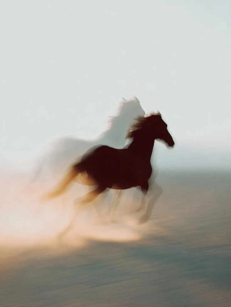 _ - 2026-01-22T103725.350.jpeg