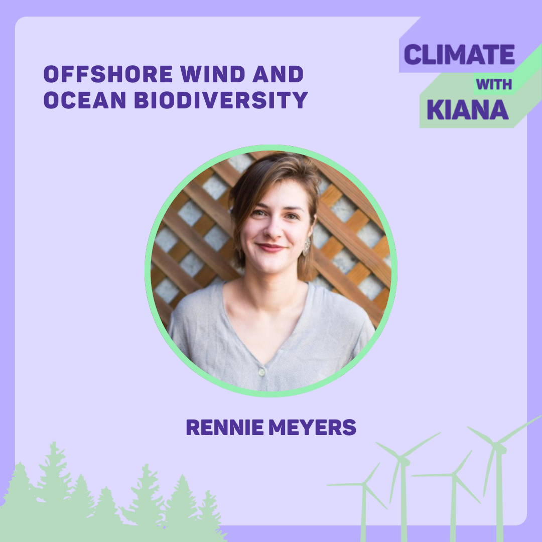 Offshore Wind &amp; Ocean Biodiversity with Rennie Meyers