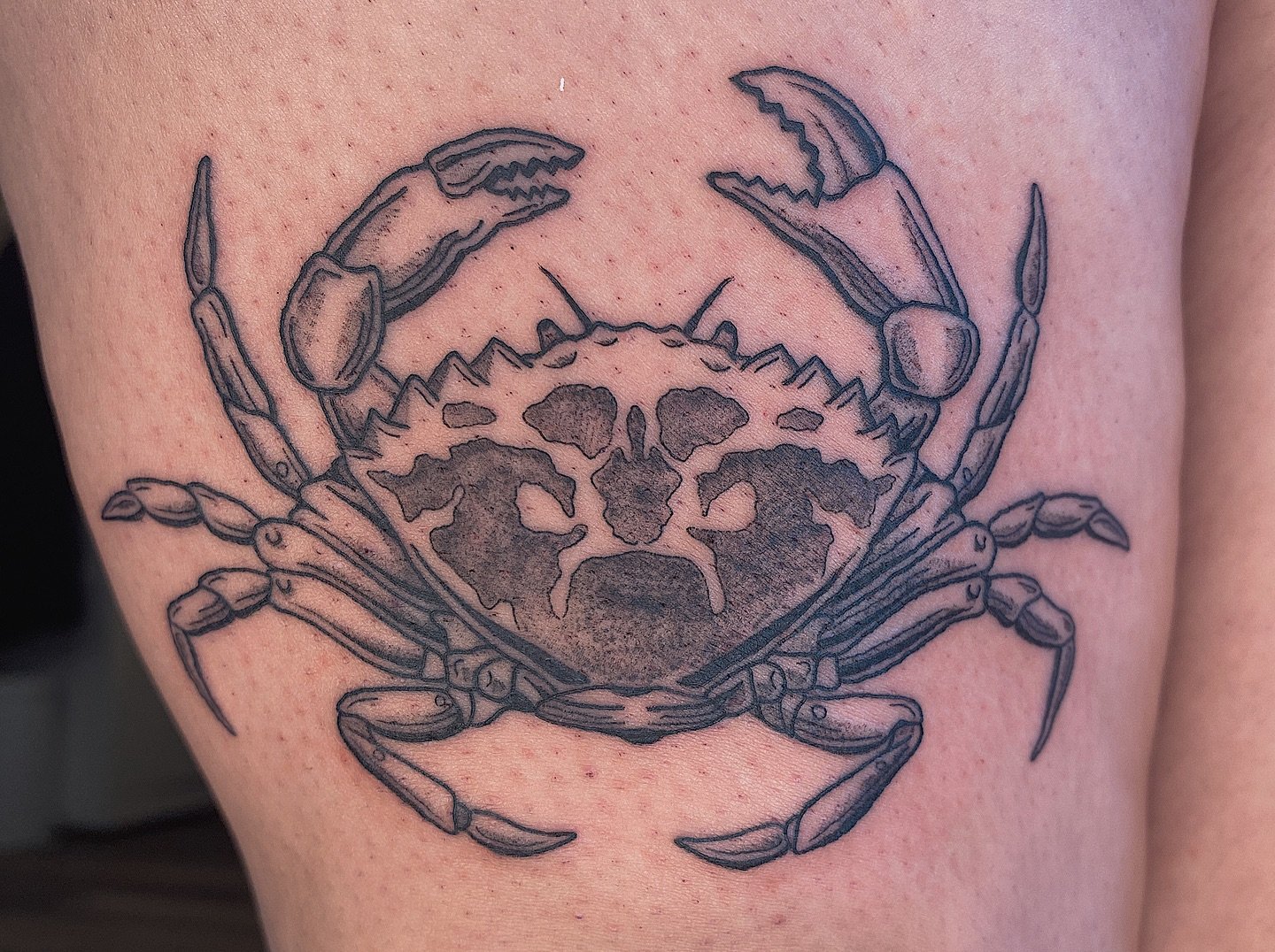 I learned a lot about European green crabs yesterday!! Also on a fellow cancer which is bonus points 💁🏻&zwj;♀️ Thank you Madison! 🦀
