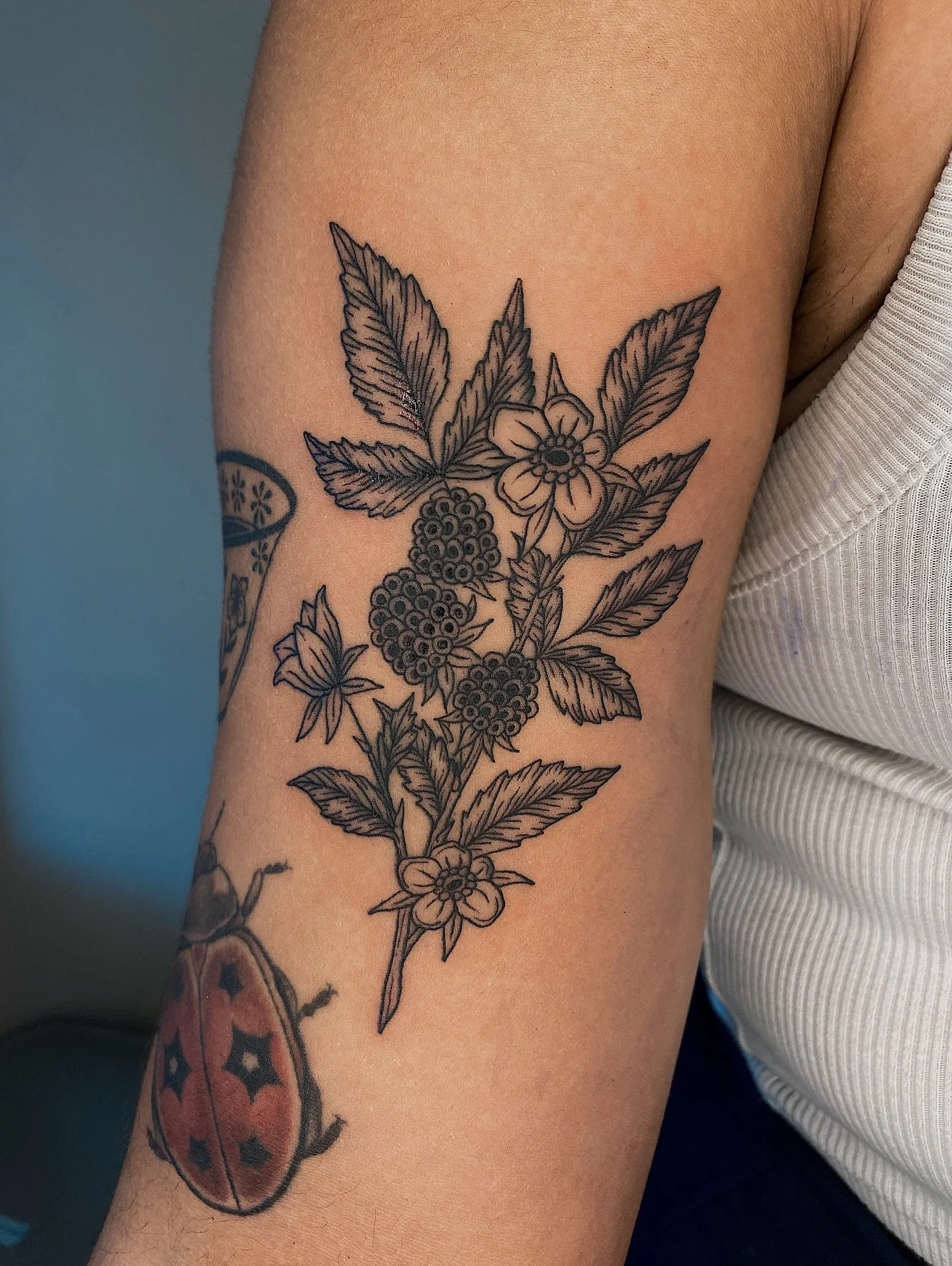 Blackberries from my flash with a year healed tea cup ☕️ Thank you, Kaya!