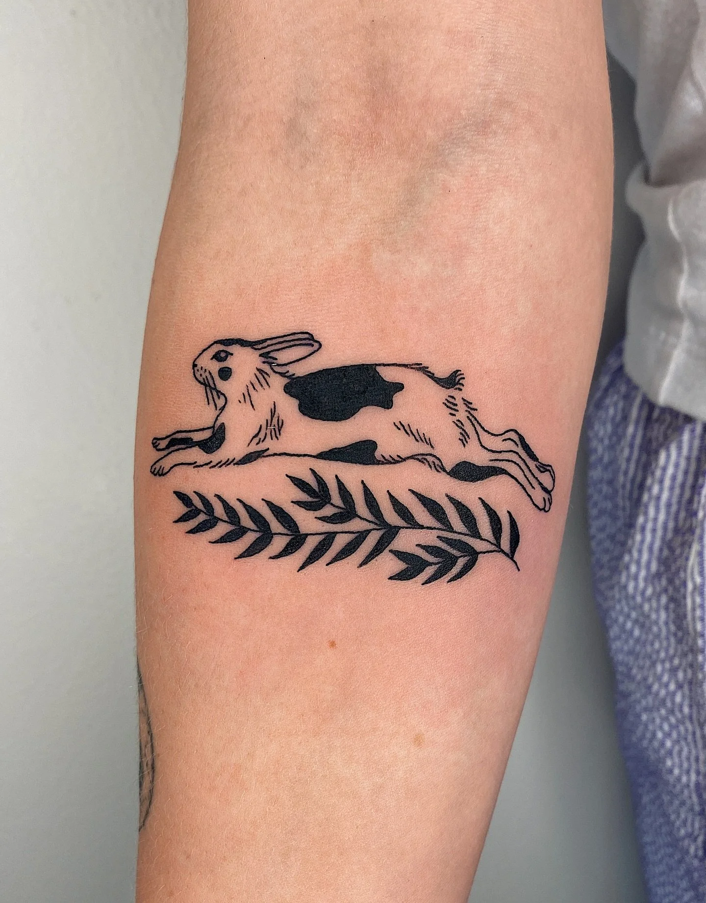 Little bun from my flash for Clara! 🐰