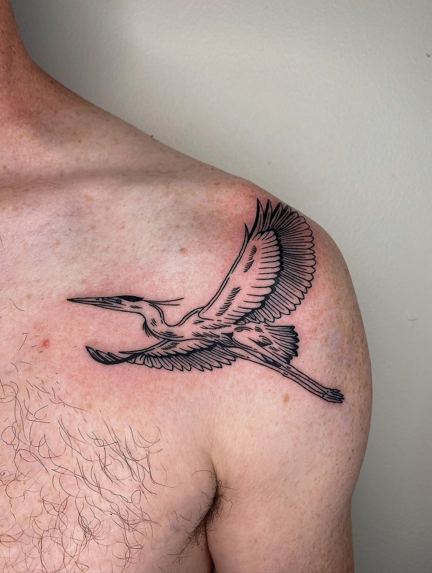 GBH for Jack! Love this placement, thank you!!