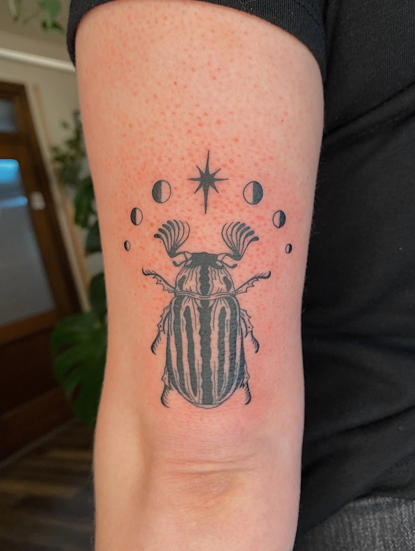 I&rsquo;m very behind on posting tattoos 🫠 June beetle from my flash! Check out my new channel if you&rsquo;re someone who likes claiming last min spots! I have a few spots available this week 🤗