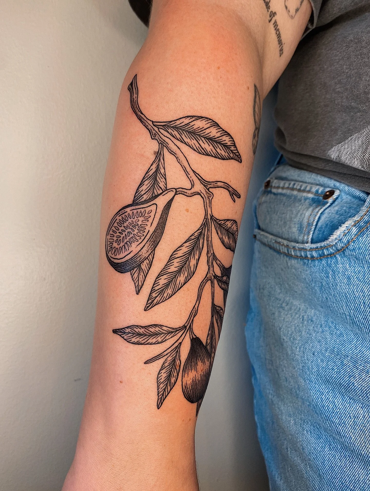 Figgies (we know the leaves are not accurate) ✨ also a healed &ldquo;made of memories&rdquo; above for sweet Cayley!