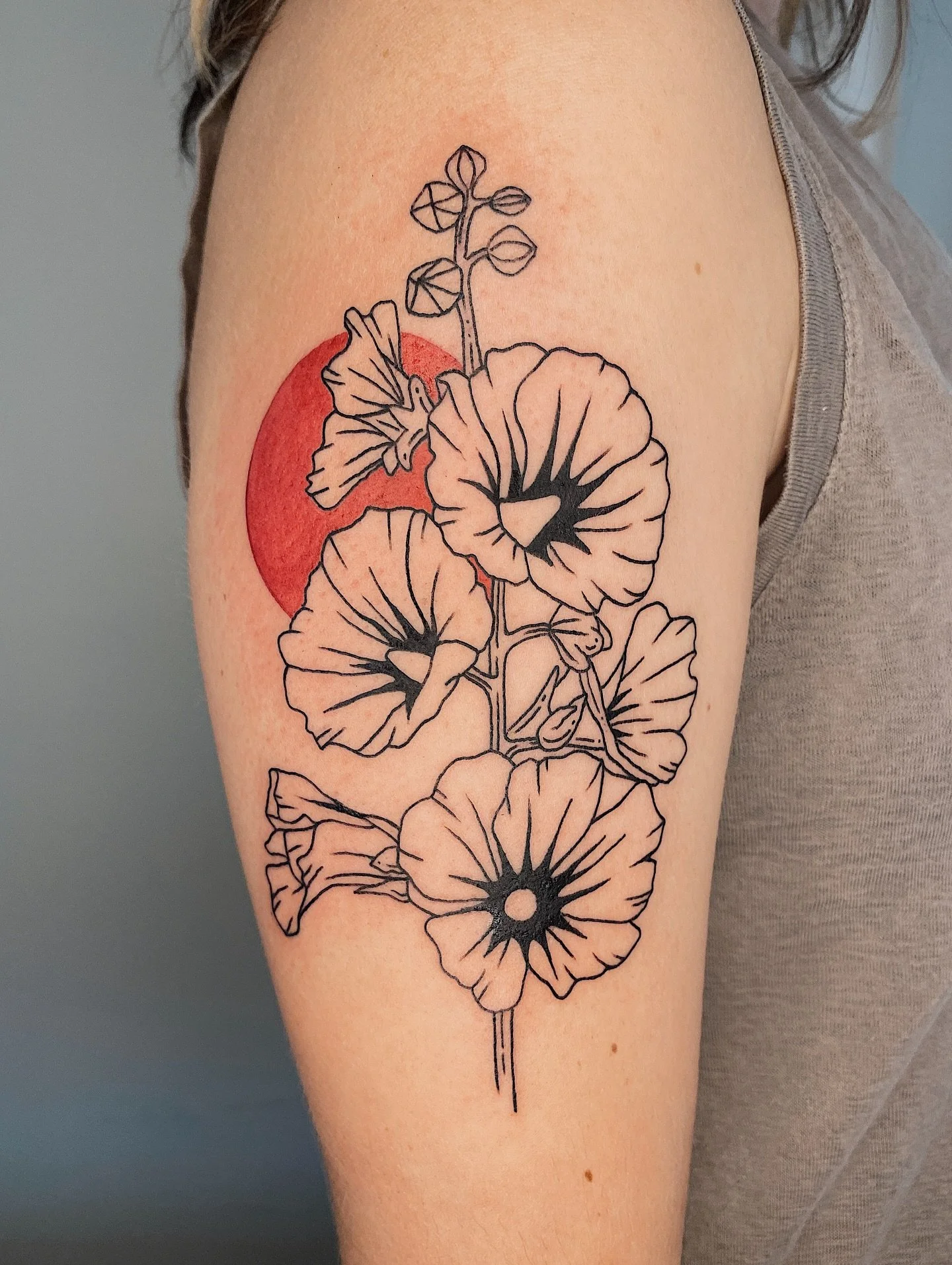 Hollyhock from my flash ✨ thank you!