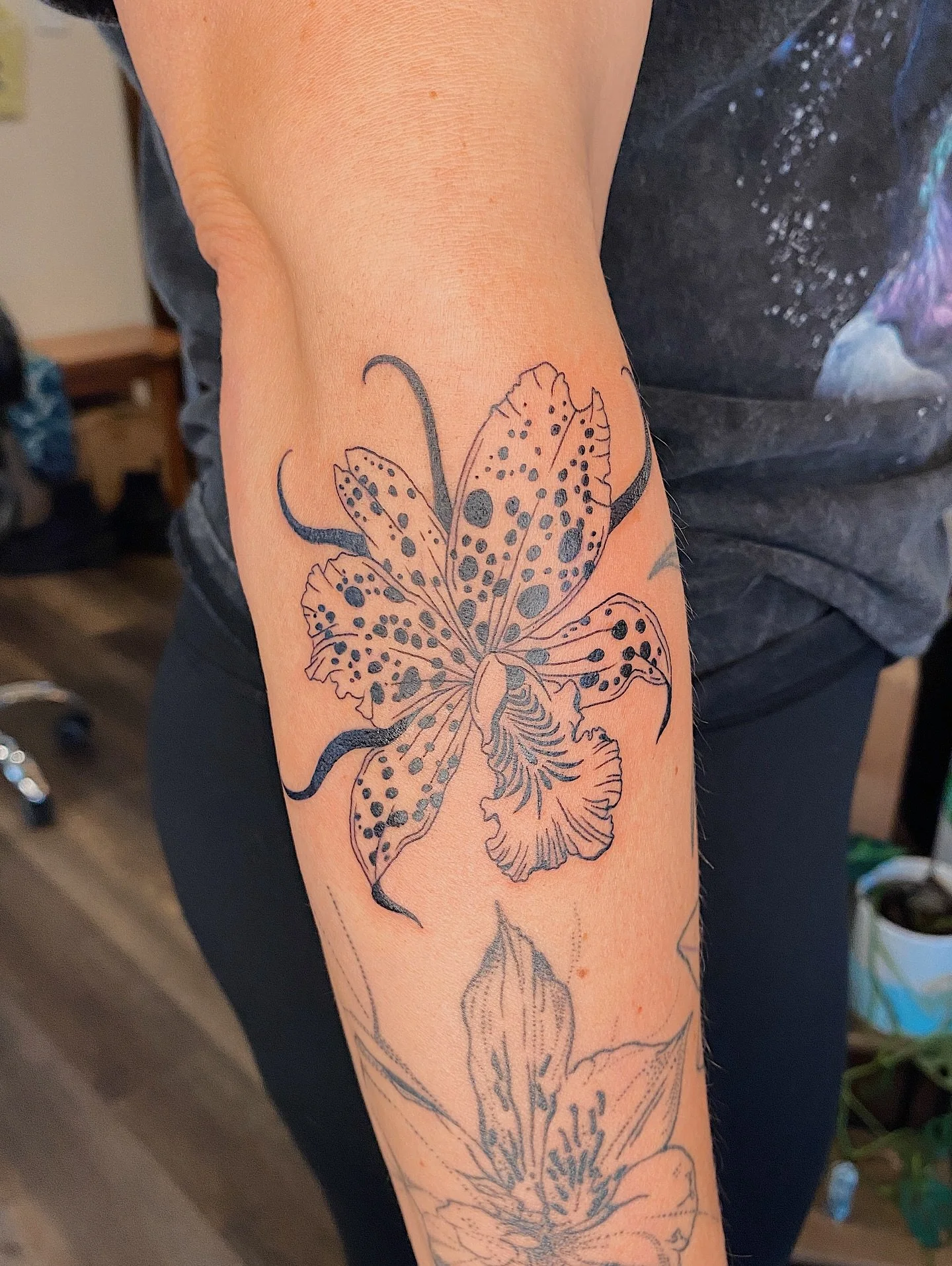 Lily from my flash 🌸