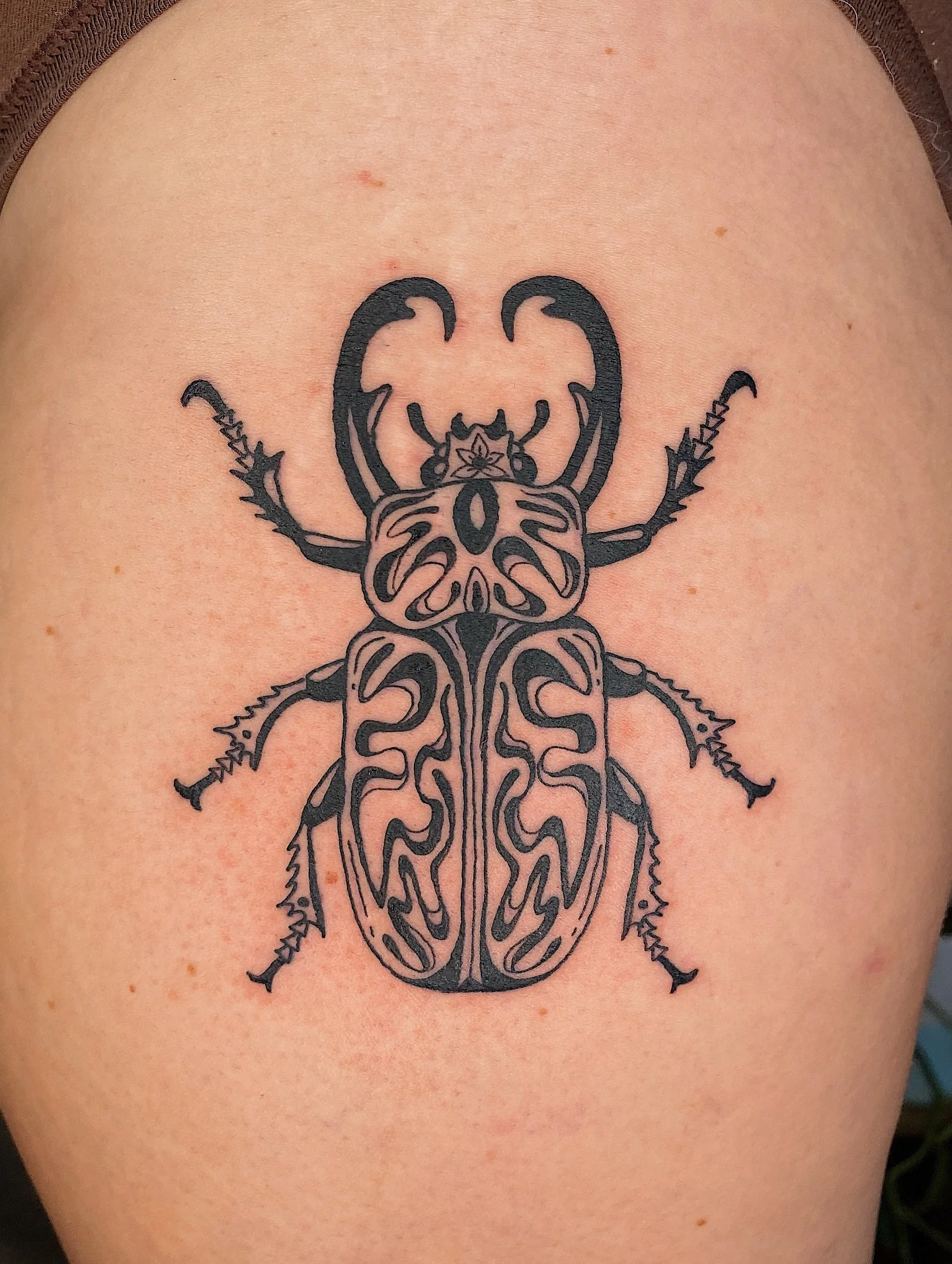 Custom beetle for Sophie 🪲