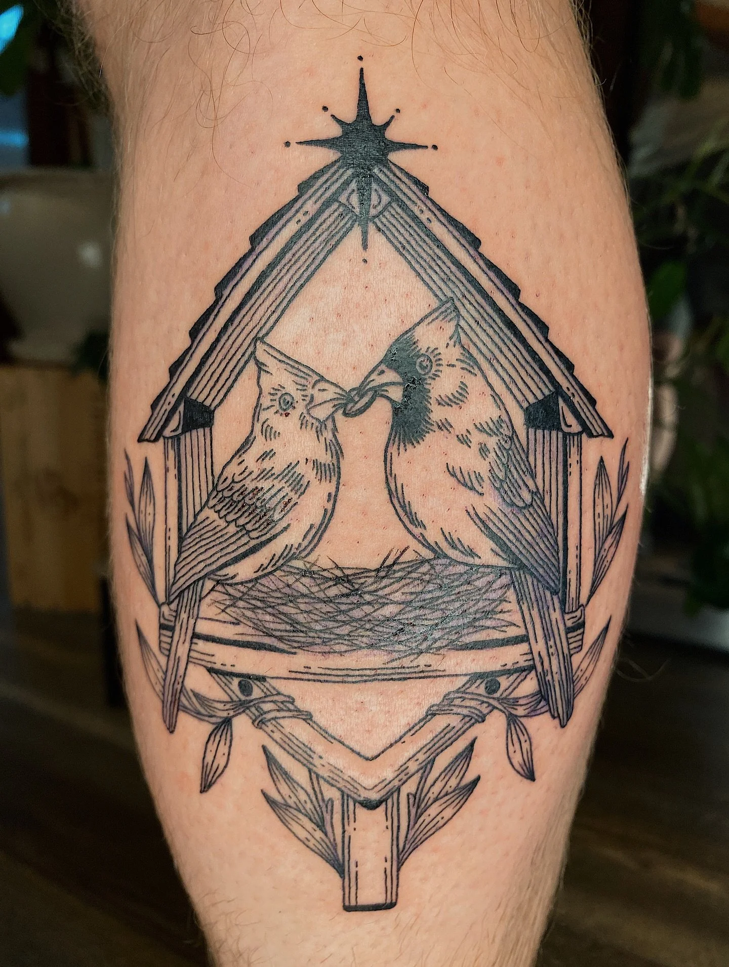 Northern cardinals in a birdhouse for Brandon!