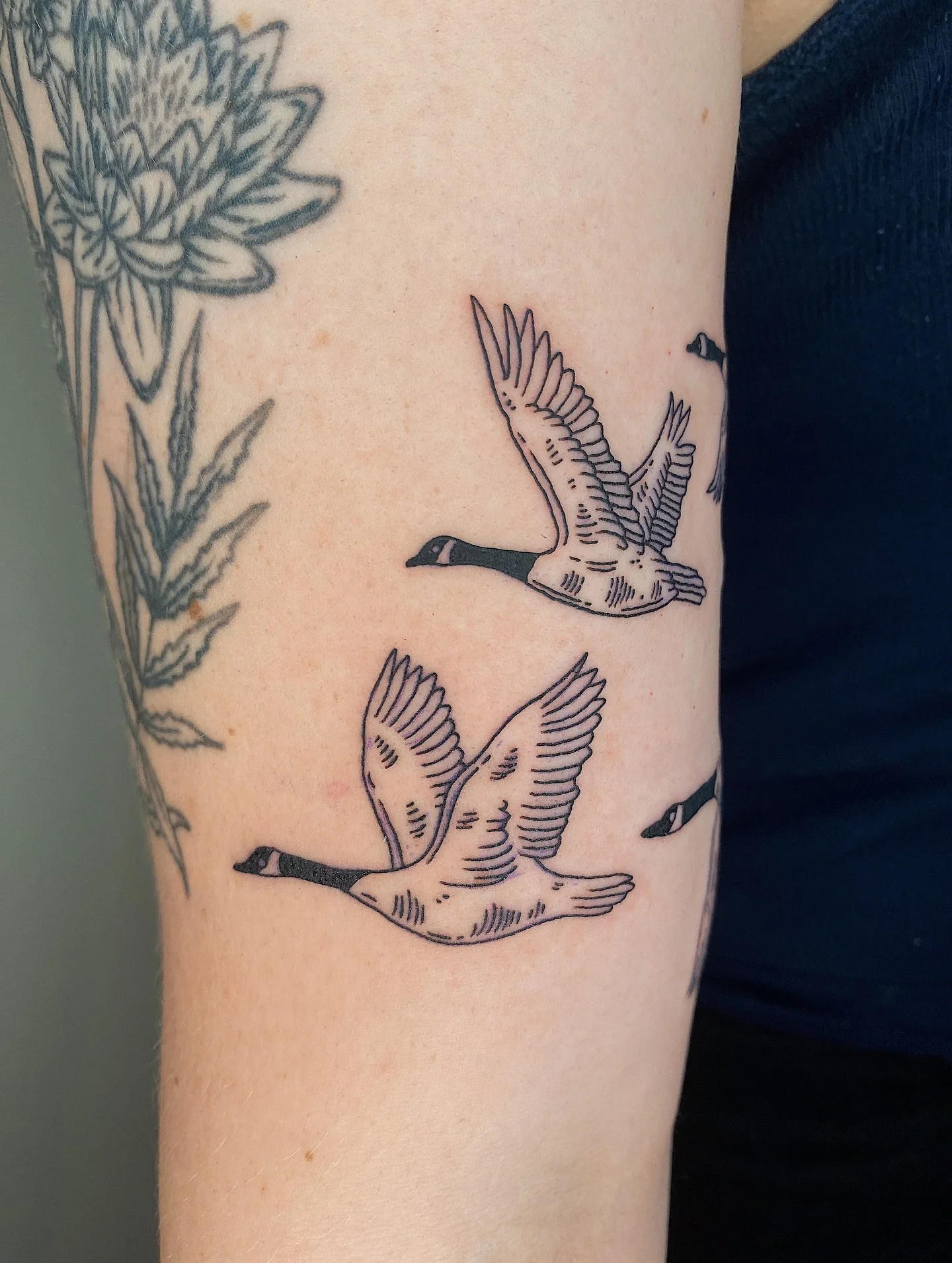 Flying geese for Emily!