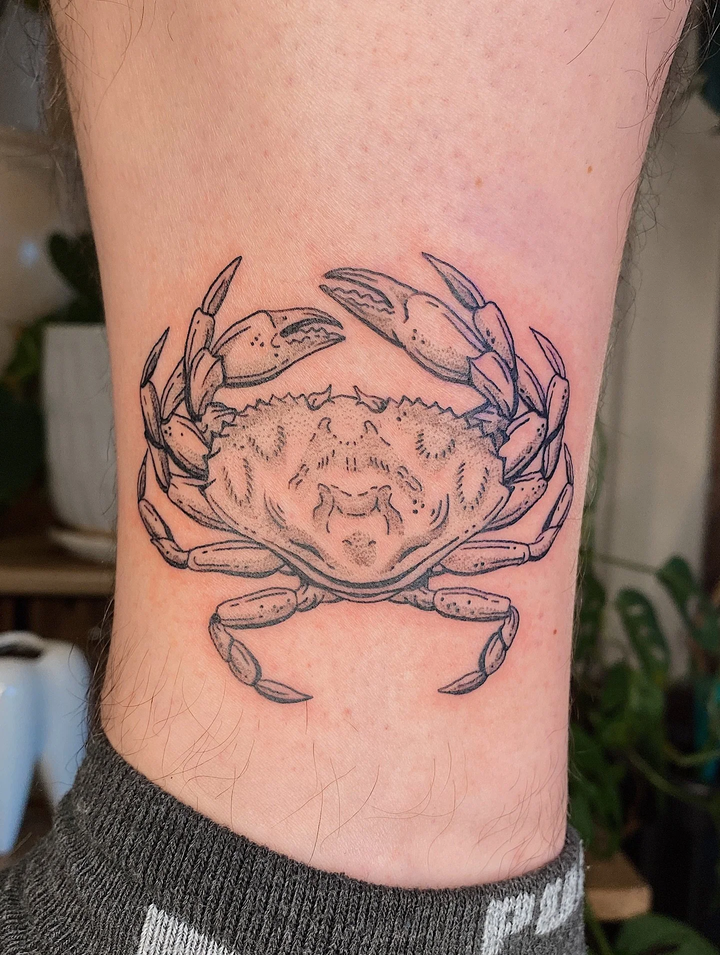Dungeness crab and a healed lion fish for Jakob!