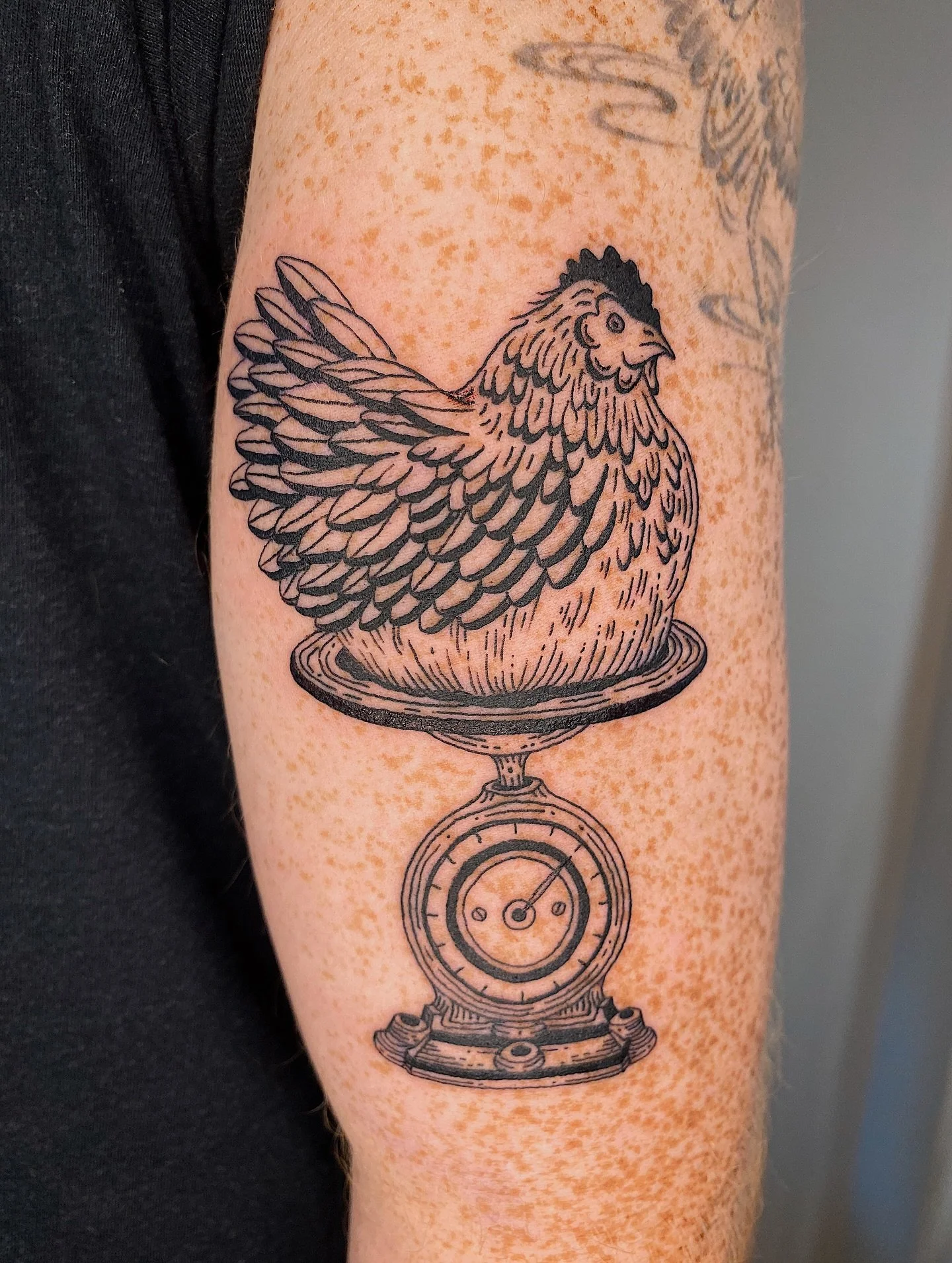 Hen on a scale for Charlie! 🐓