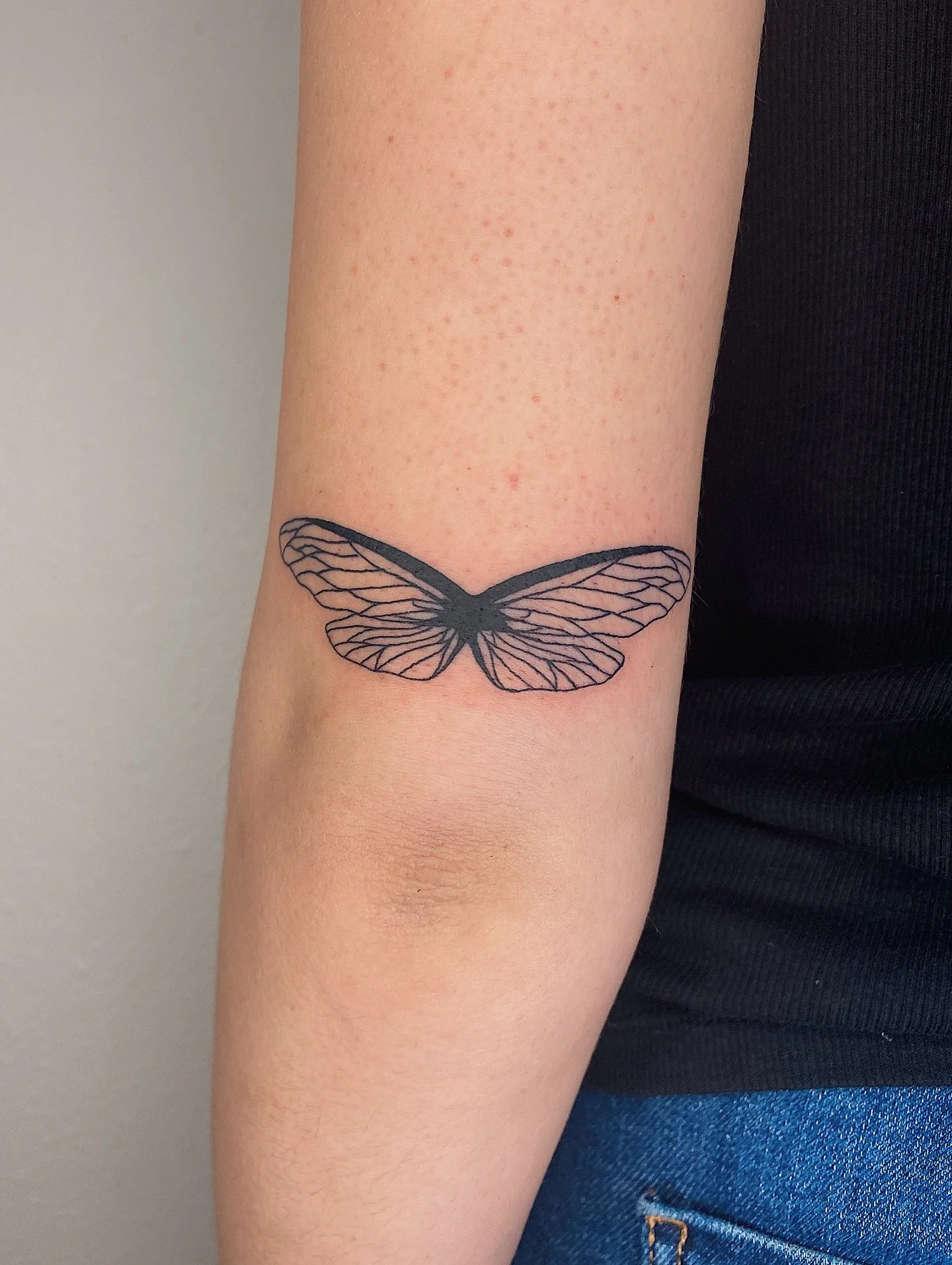 Cicada wings from my flash for Alex&rsquo;s first tattoo!!