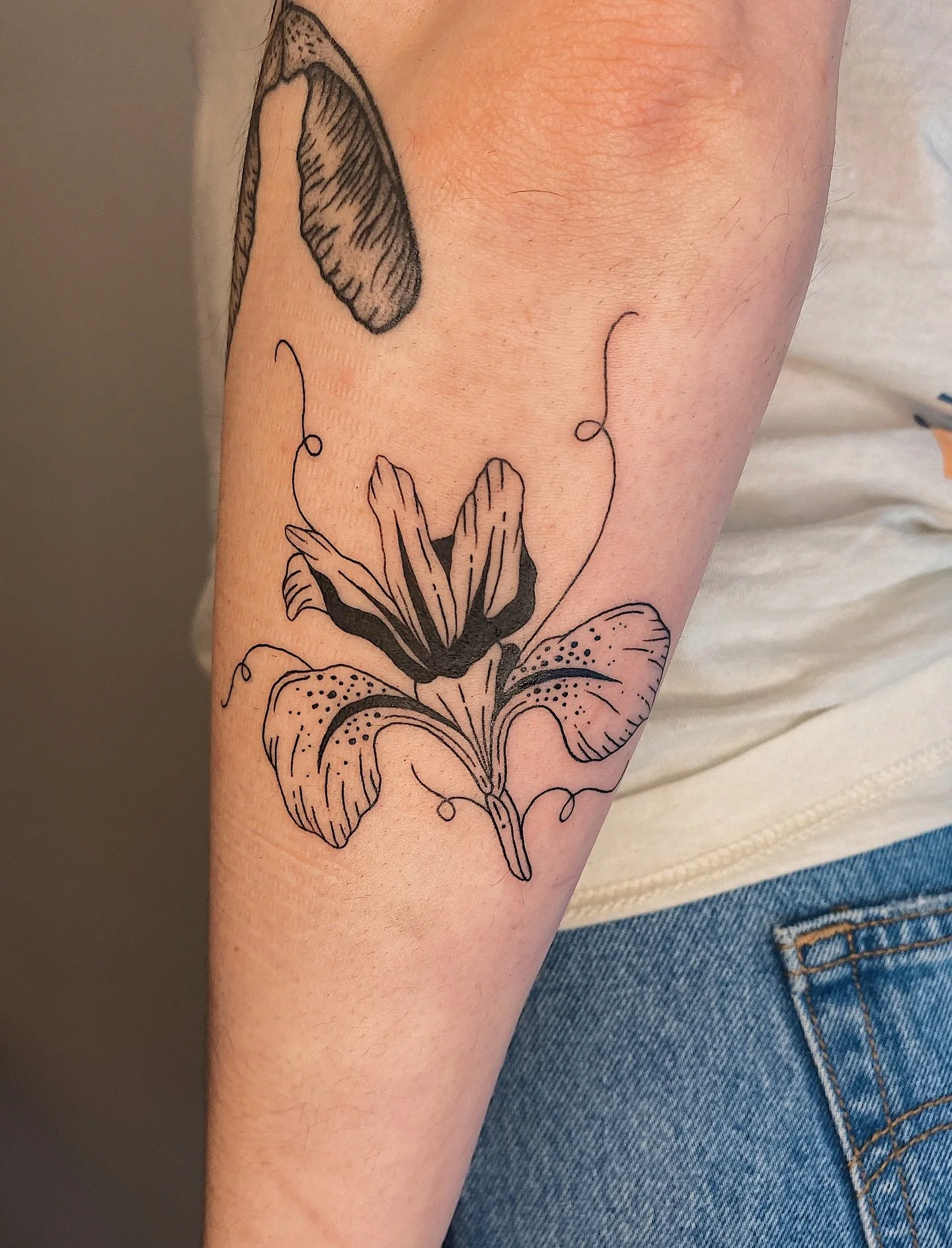 Some new additions for Alex! Next to some healed cutie oranges from our valentines flash event 🍊