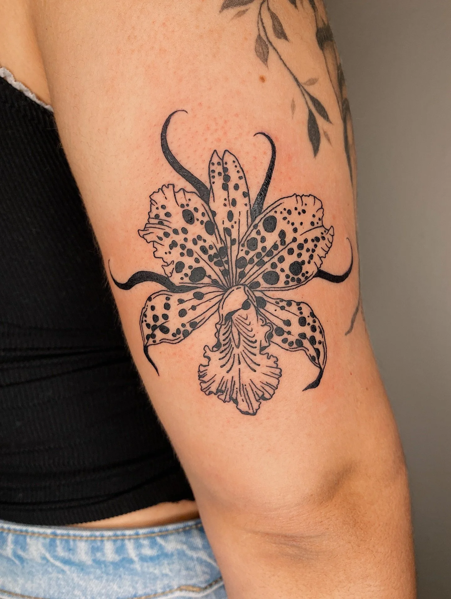 From my flash for Abigail ✨