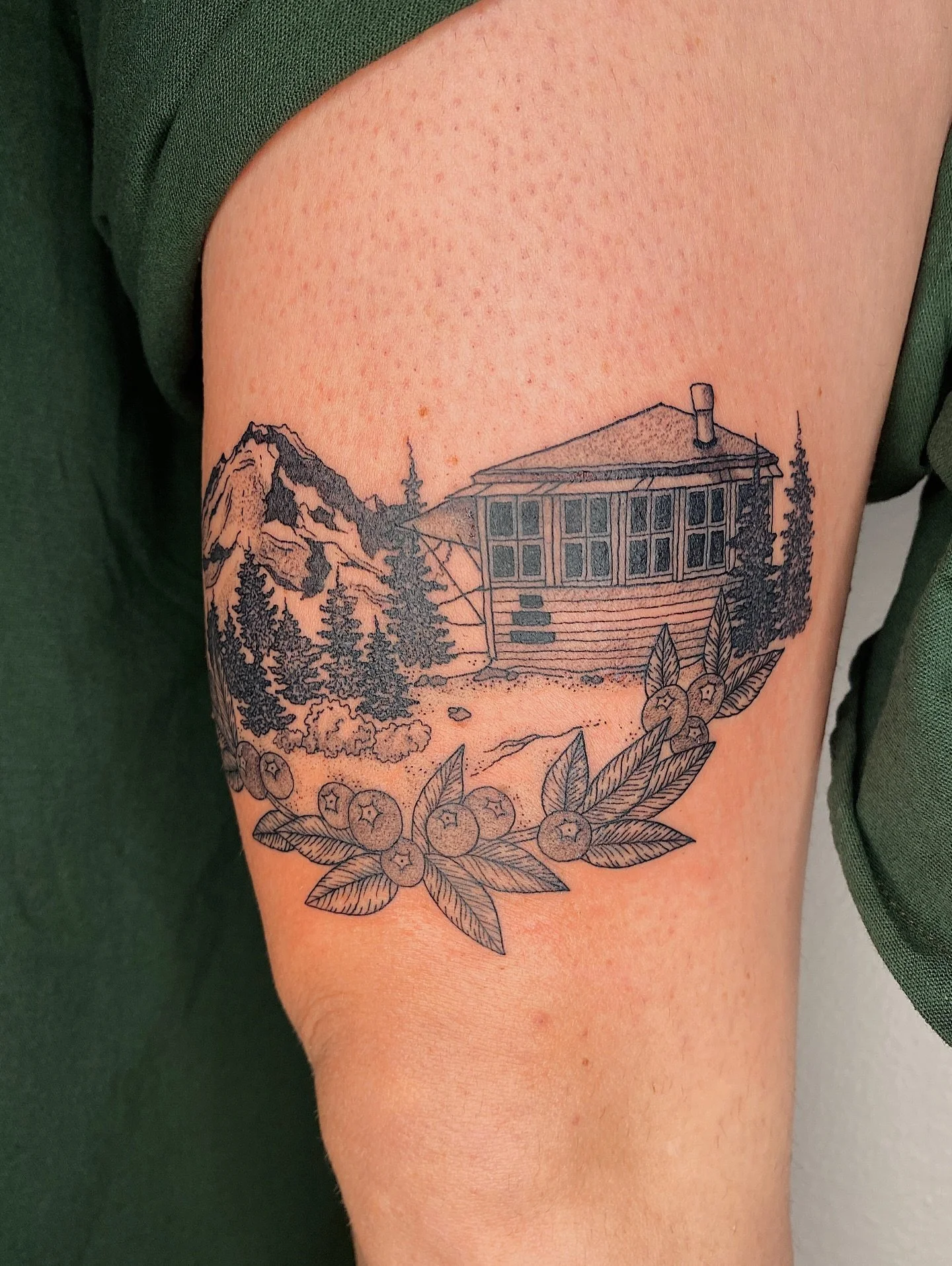 Viewpoint of Mt baker and Winchester lookout for Krista!