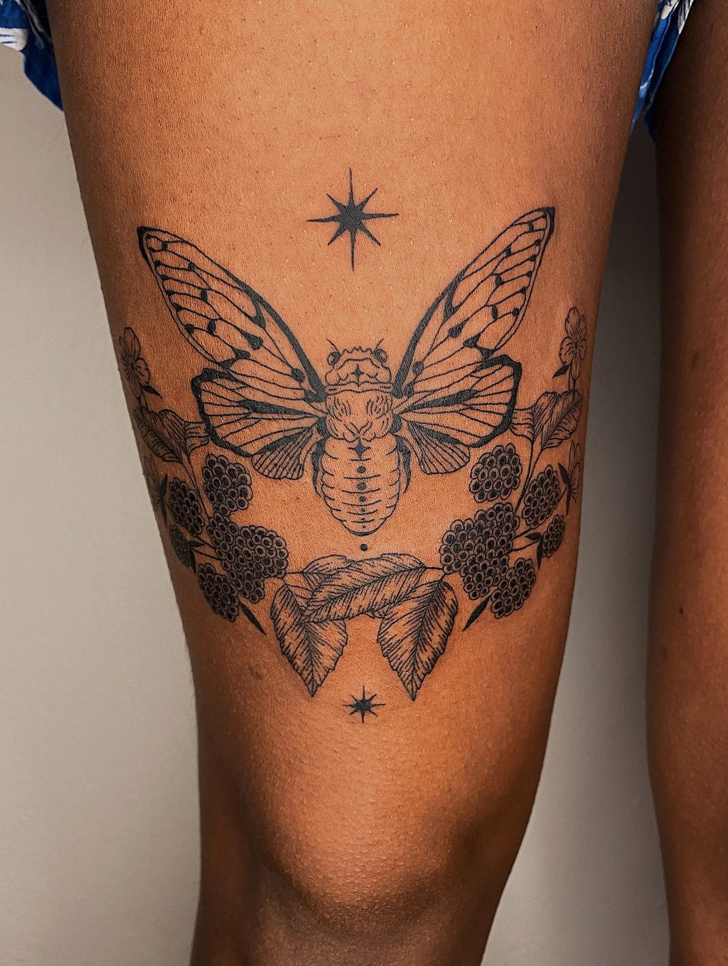 Cicada with blackberries for Monogya 😍 thanks for making the trip!!